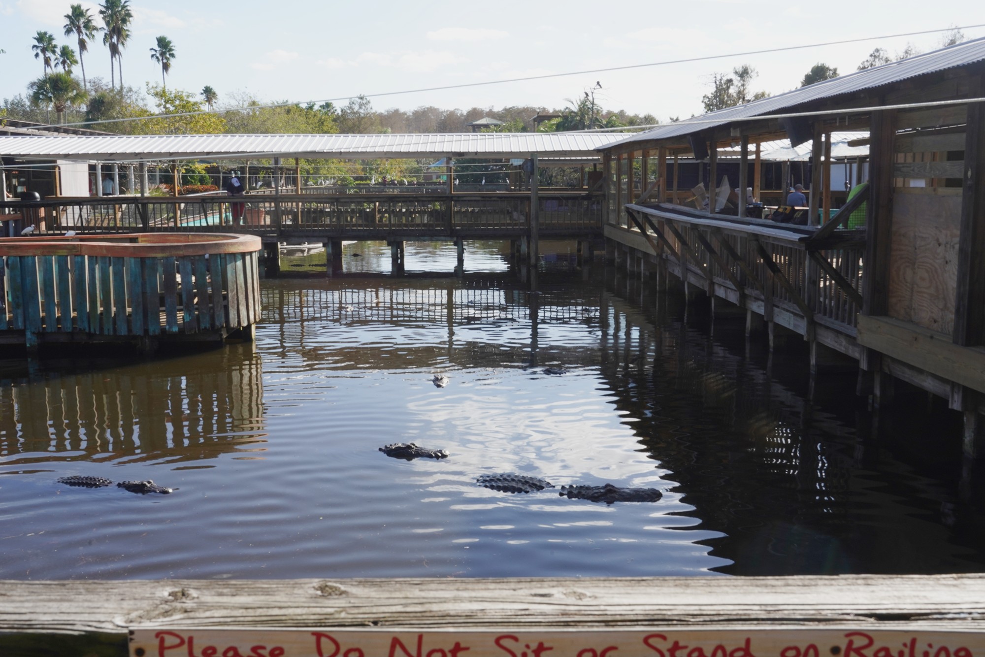 Gatorland (8)