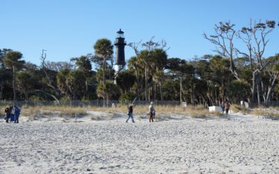 Hunting Island State Park, St Helena Island, South Carolina, USA