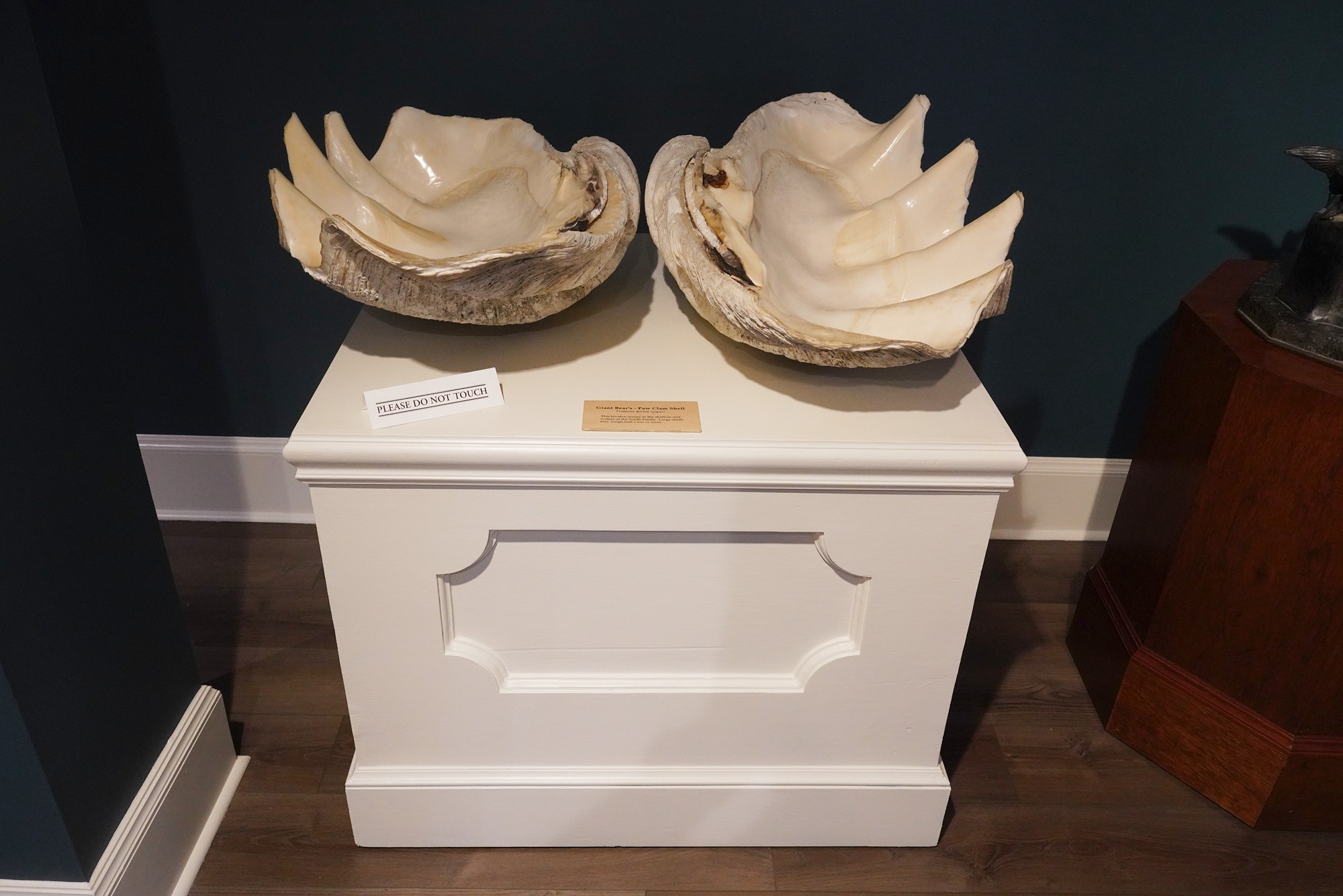 Lightner Museum (21)