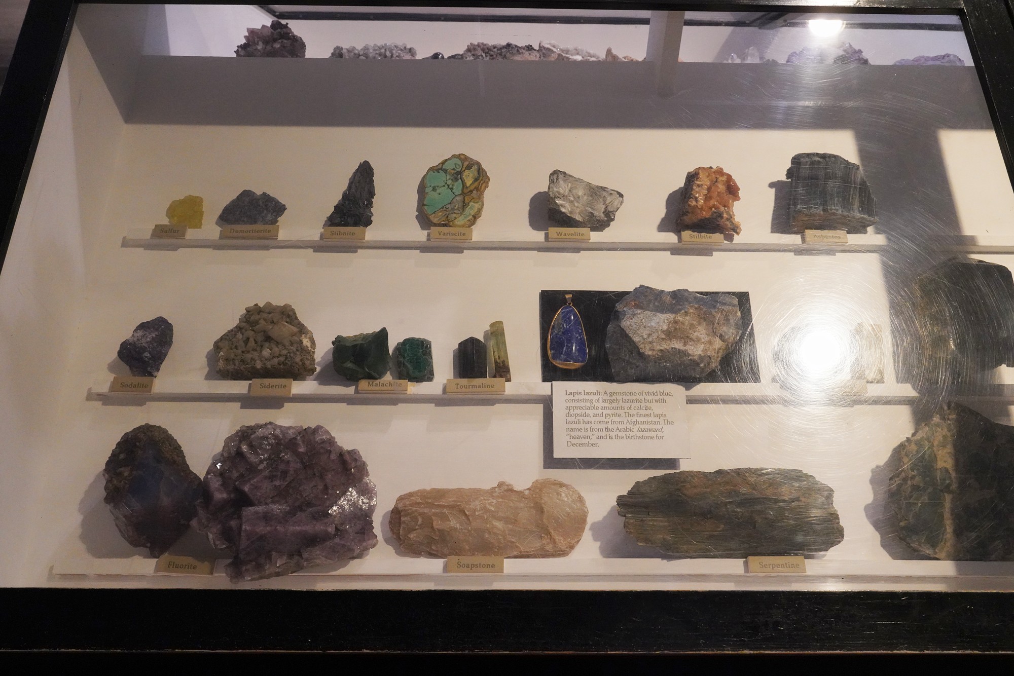 Lightner Museum (23)