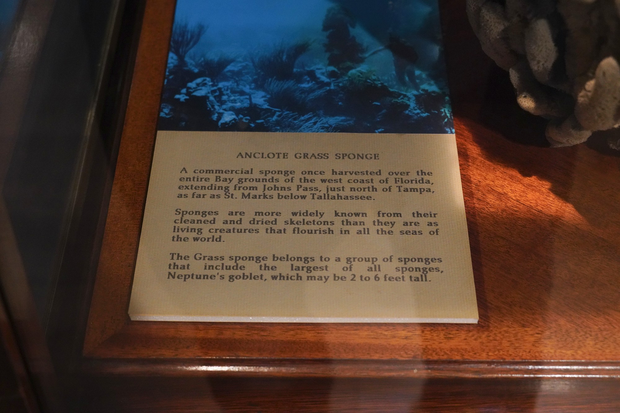 Lightner Museum (26)