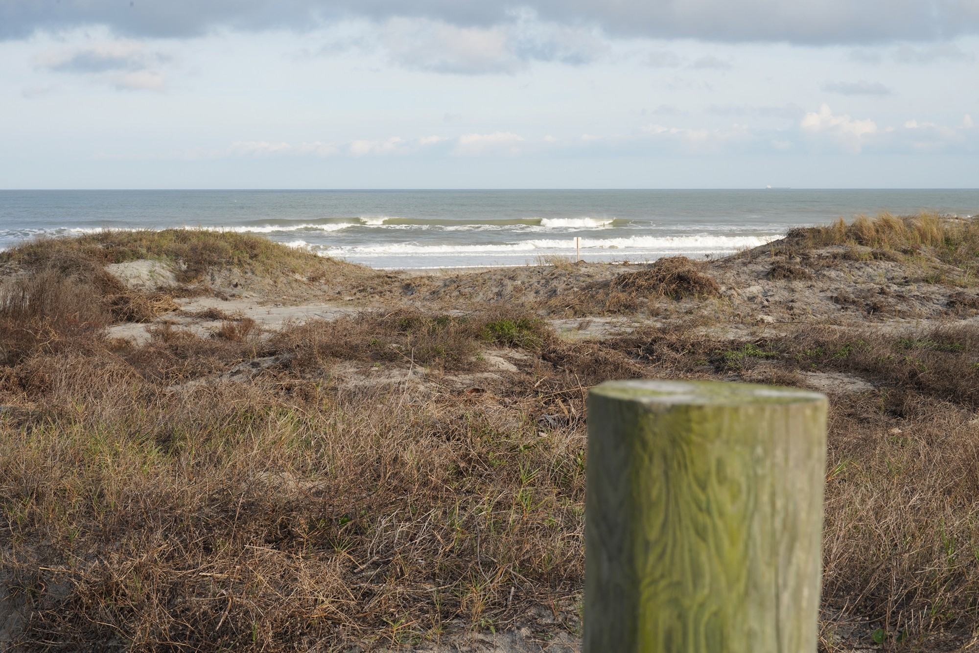 Little Talbot Island State Park (10)