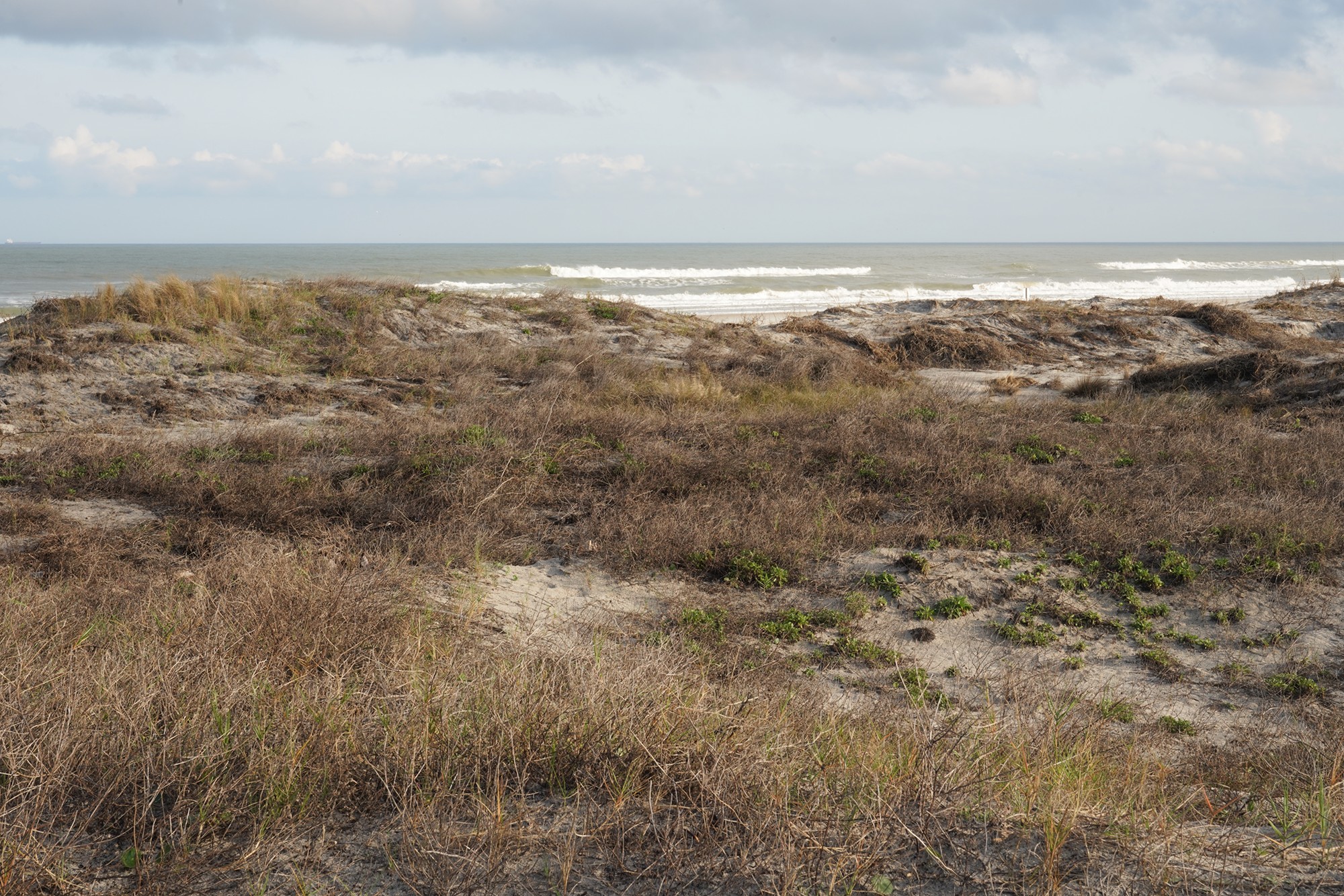 Little Talbot Island State Park (11)