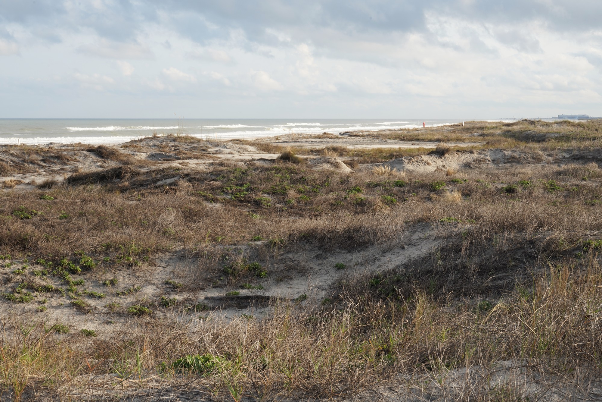 Little Talbot Island State Park (12)