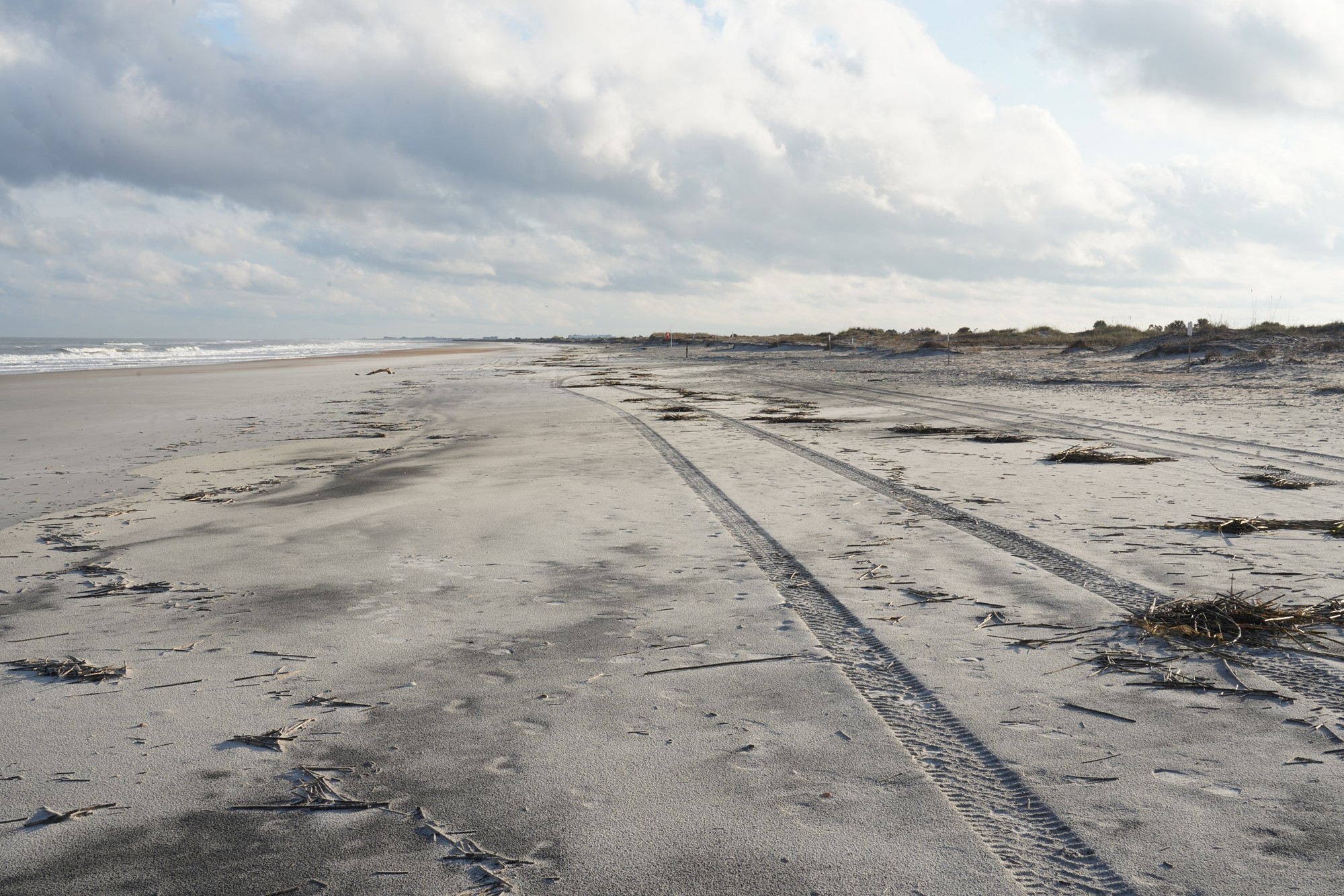 Little Talbot Island State Park (14)