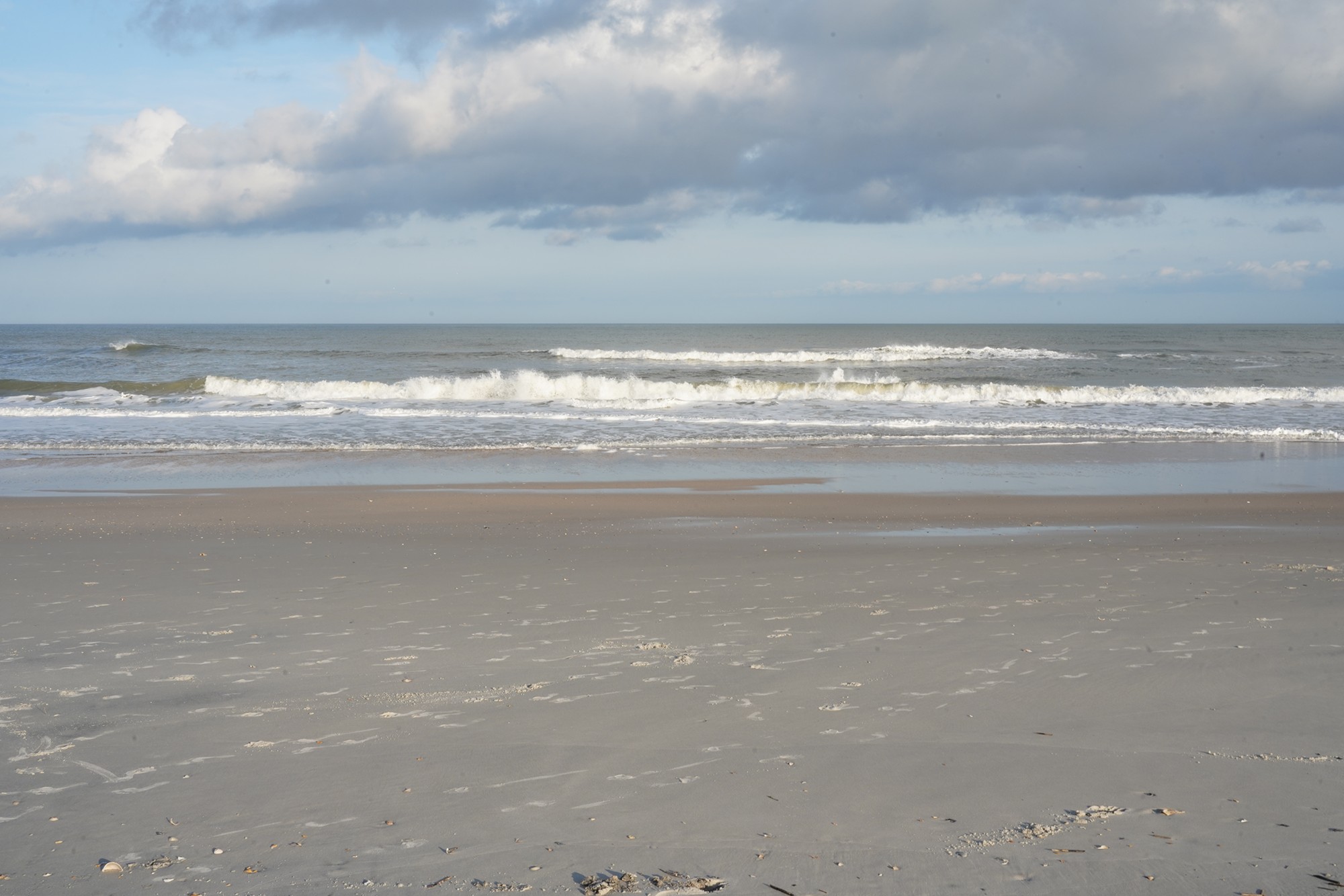 Little Talbot Island State Park (14)