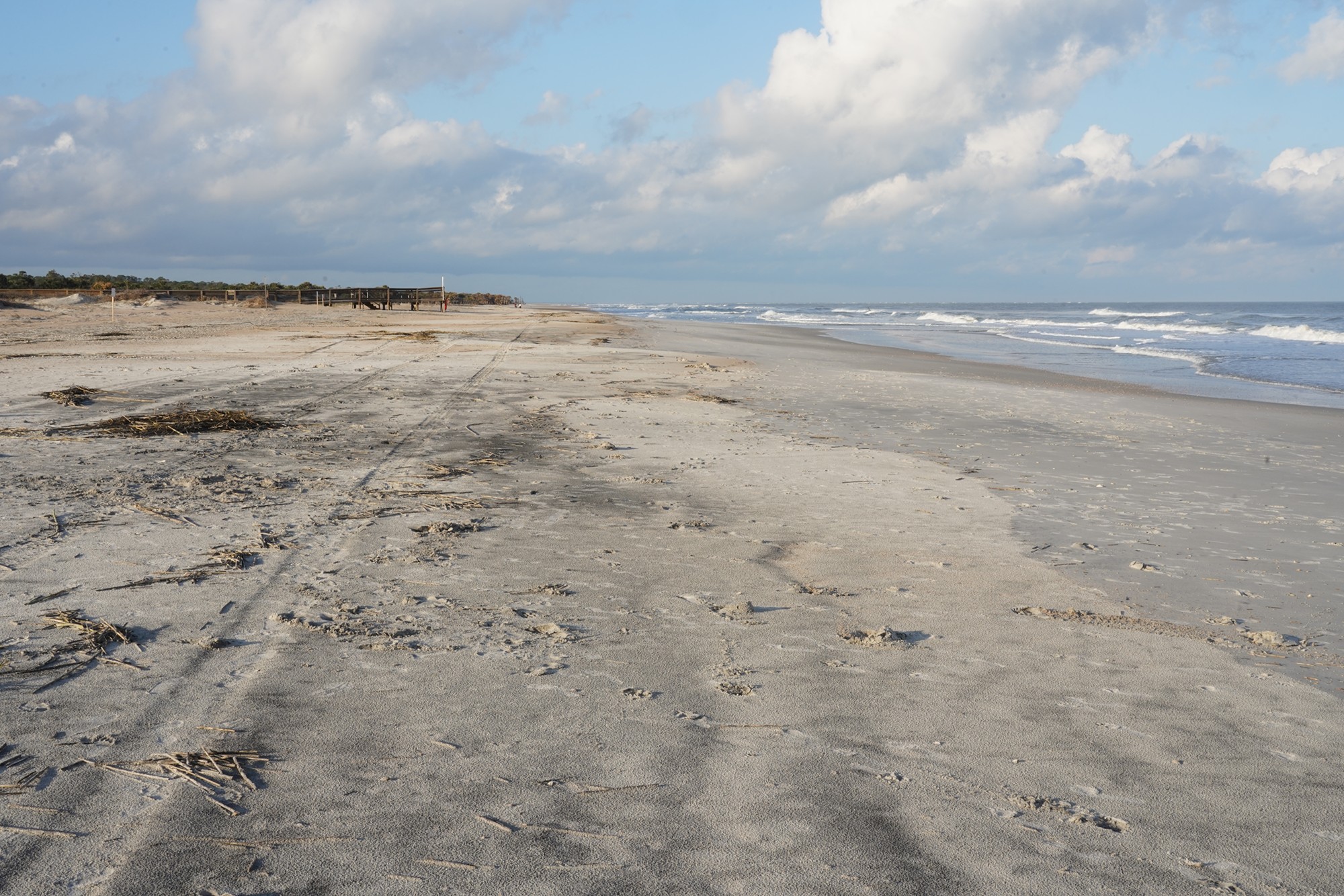Little Talbot Island State Park (15)