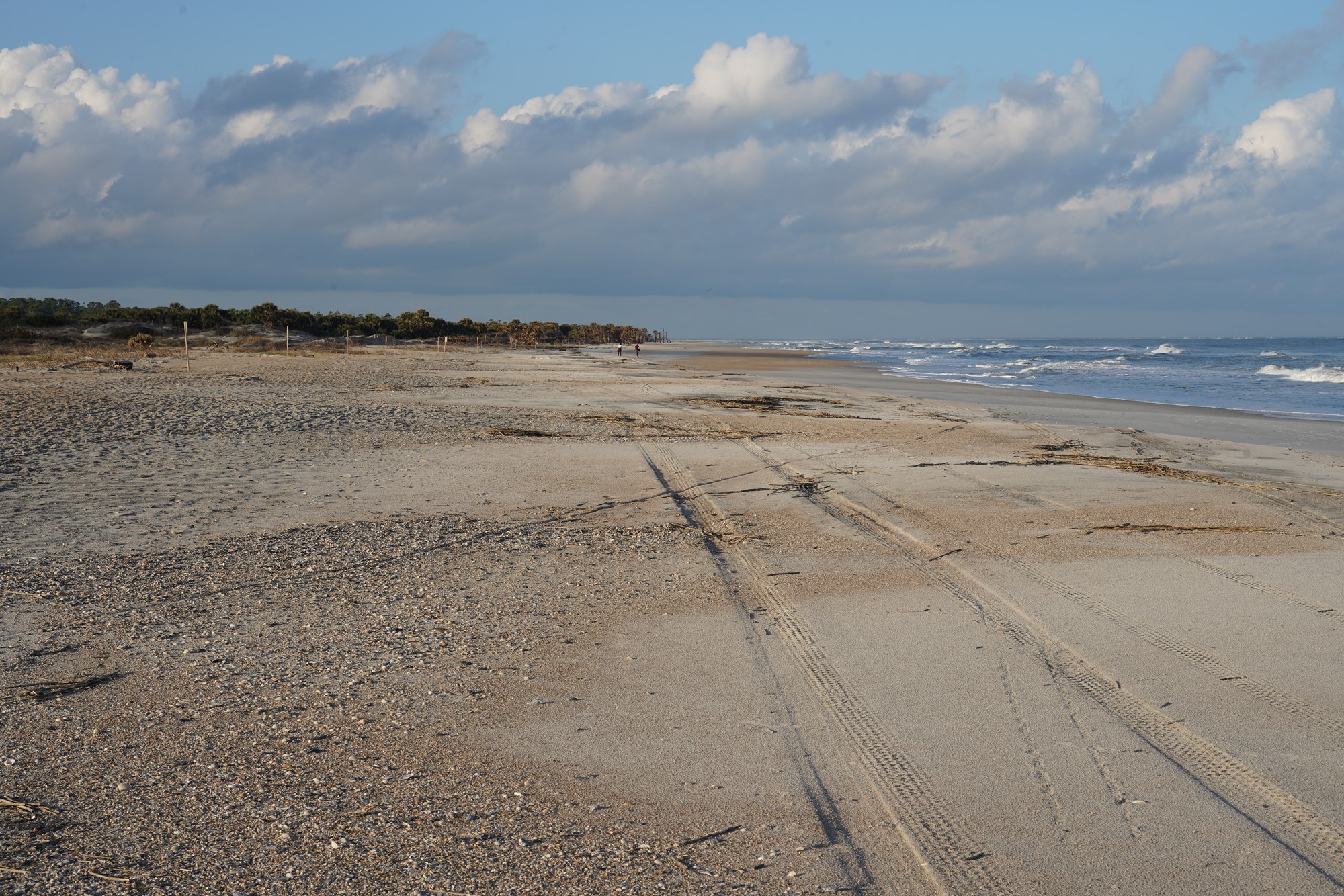 Little Talbot Island State Park (16)