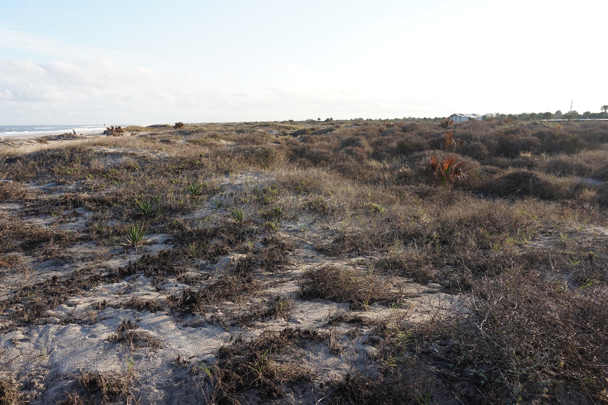 Little Talbot Island State Park (18)