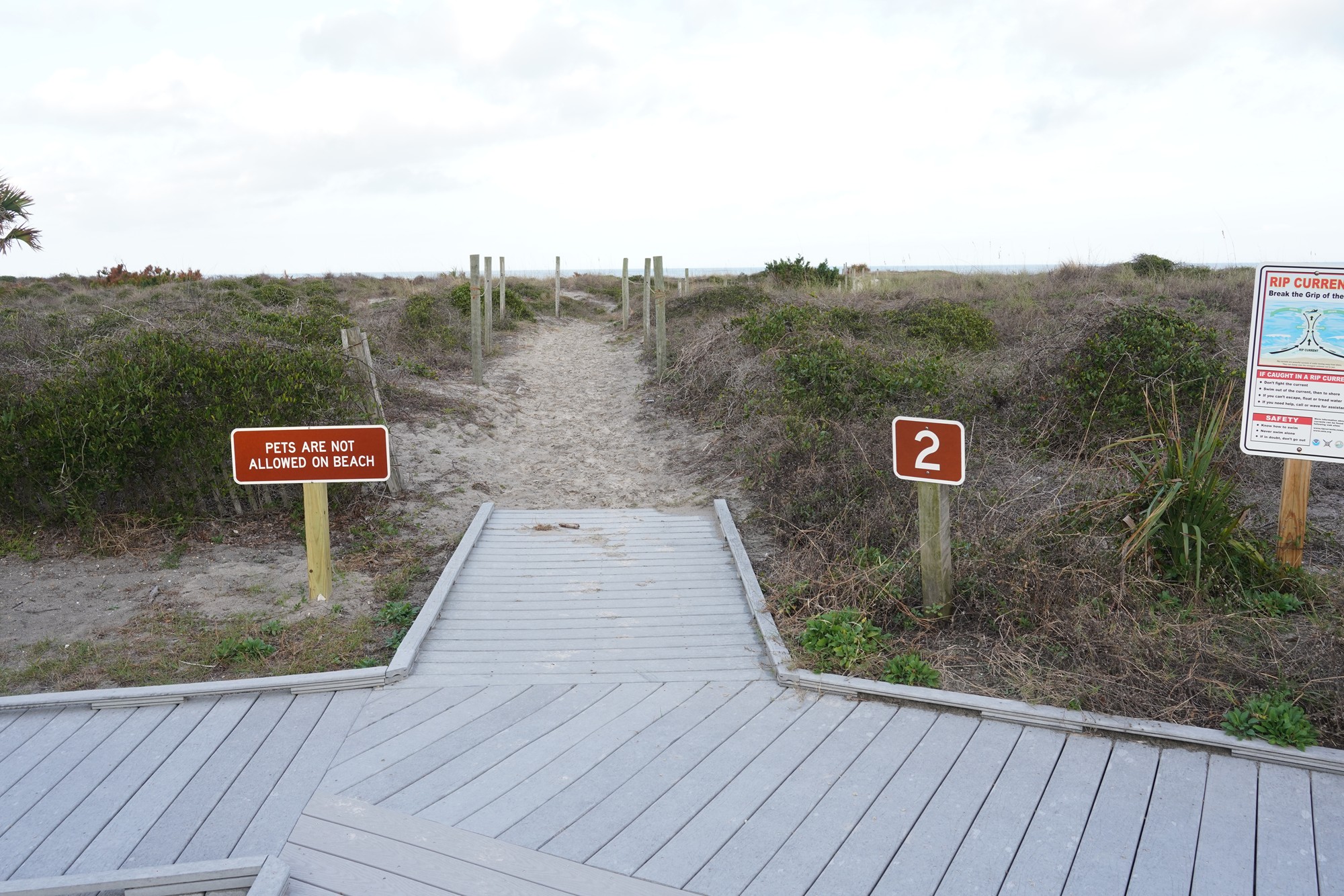 Little Talbot Island State Park (2)