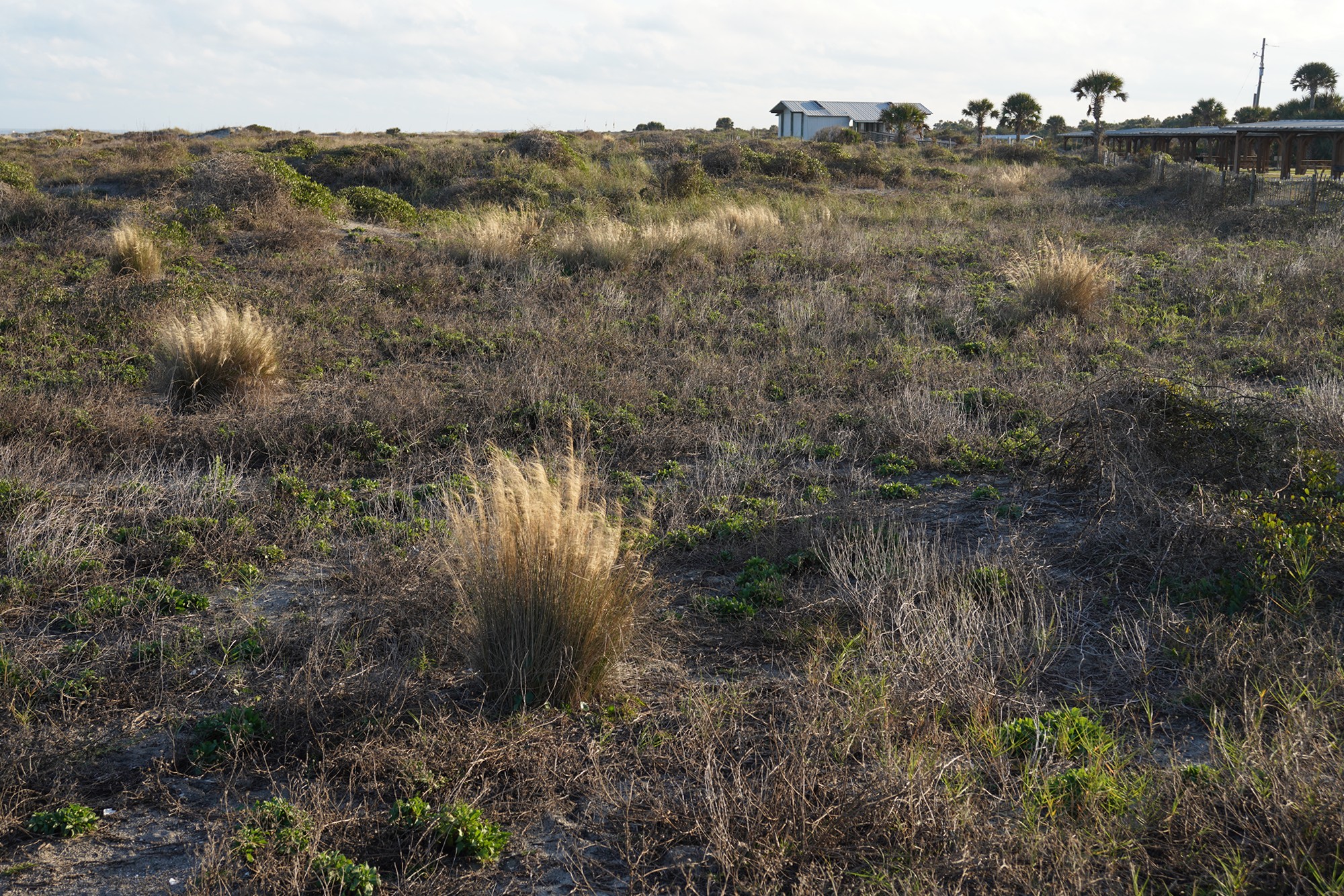 Little Talbot Island State Park (20)
