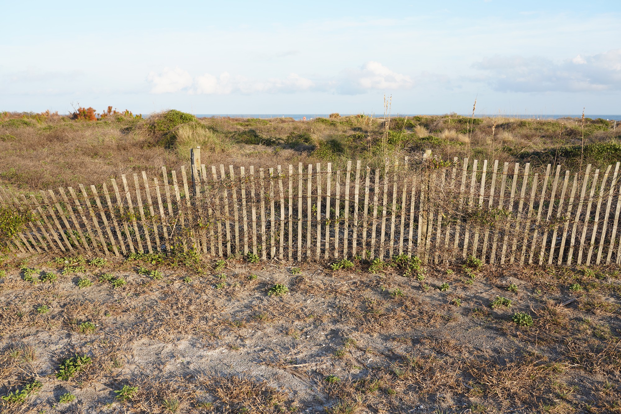 Little Talbot Island State Park (21)