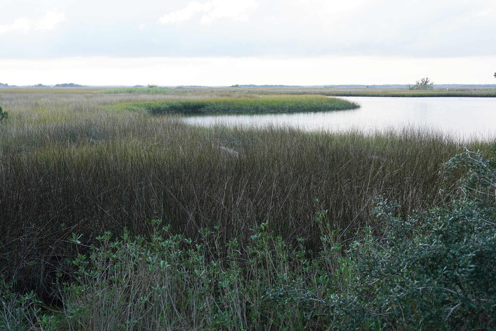 Little Talbot Island State Park (22)
