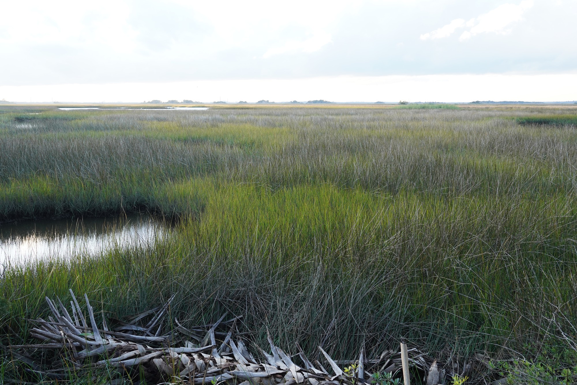 Little Talbot Island State Park (23)