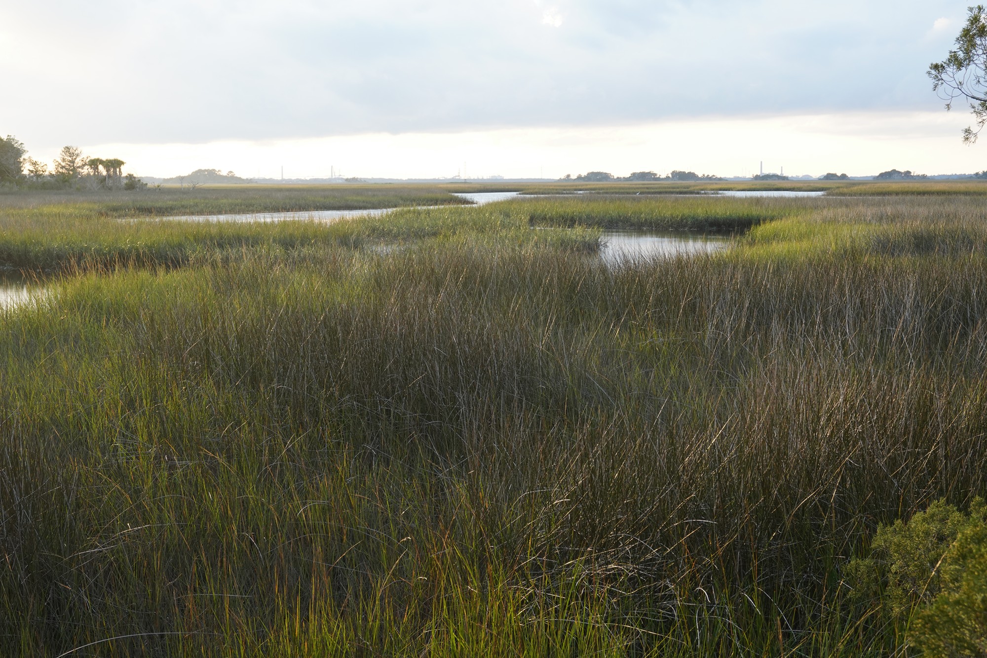 Little Talbot Island State Park (24)