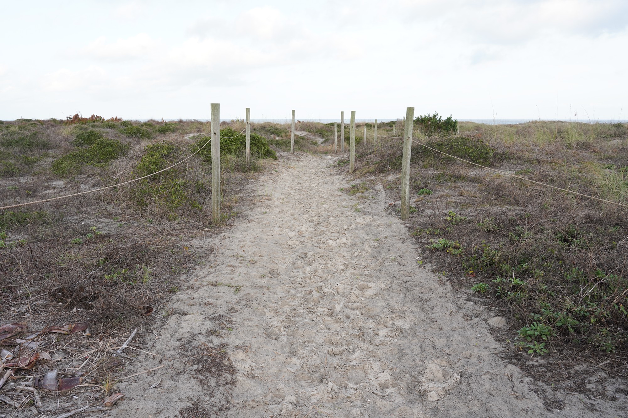 Little Talbot Island State Park (3)