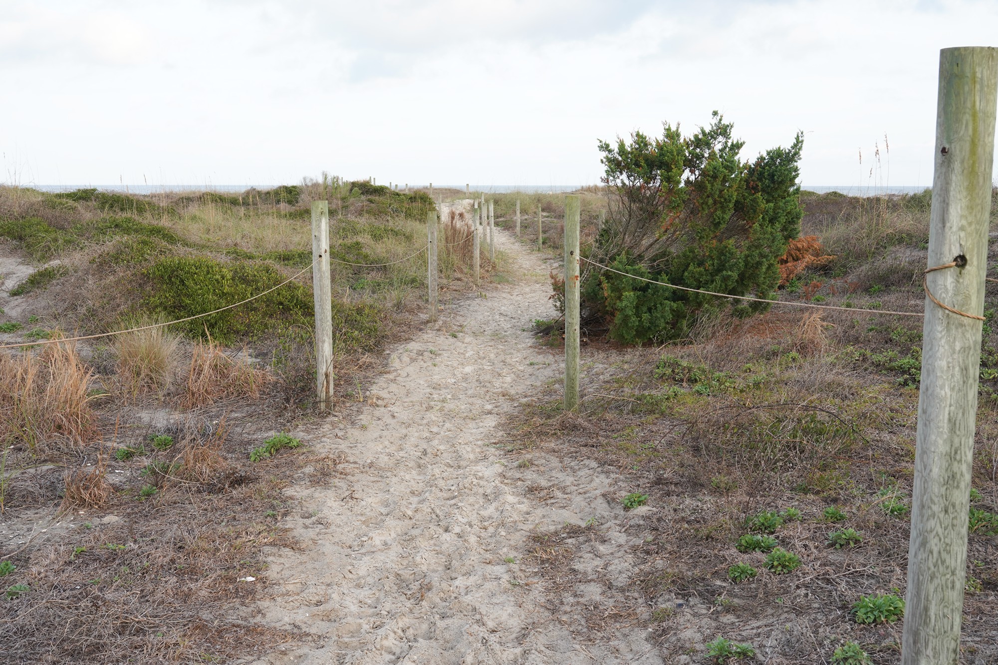 Little Talbot Island State Park (4)