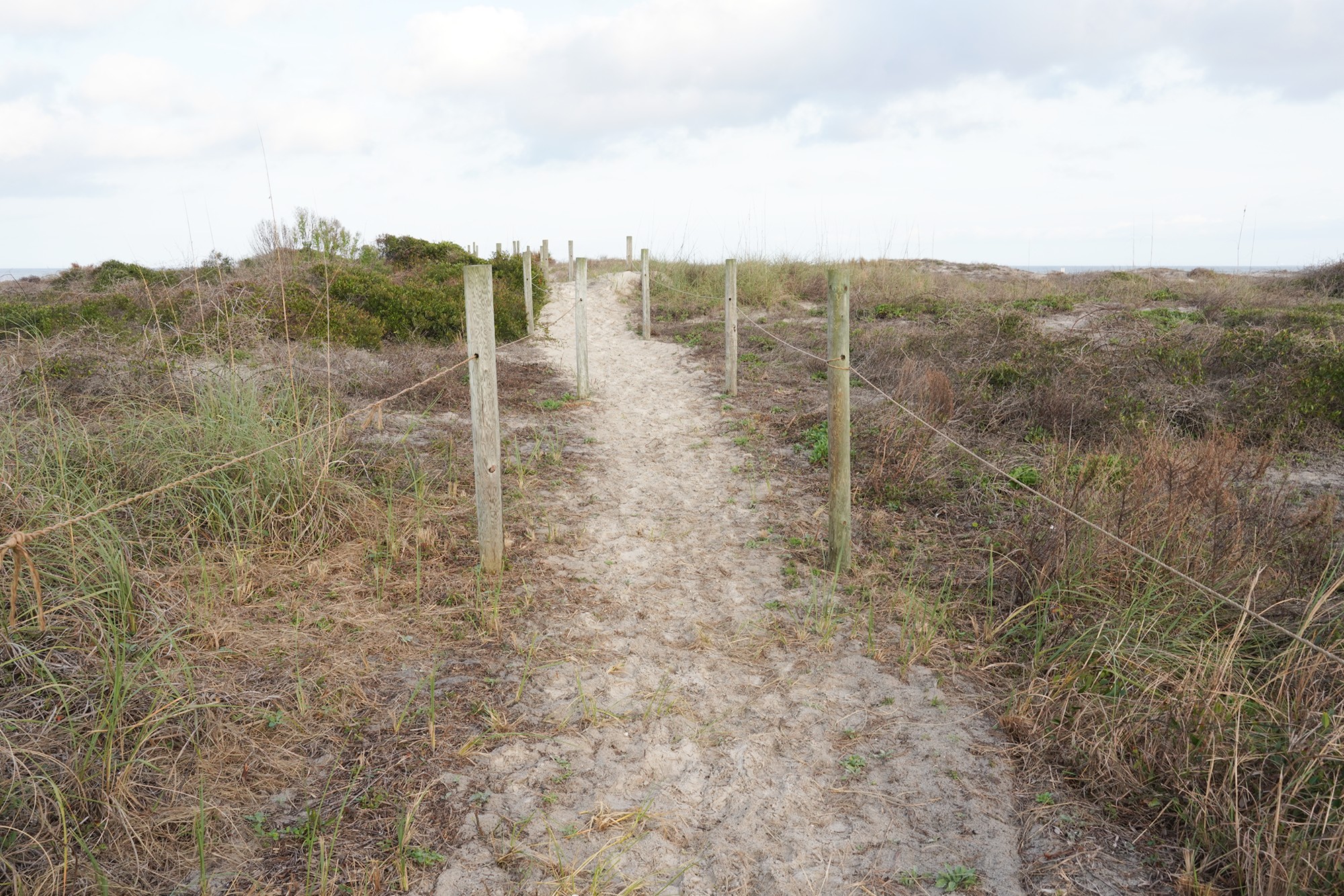 Little Talbot Island State Park (5)