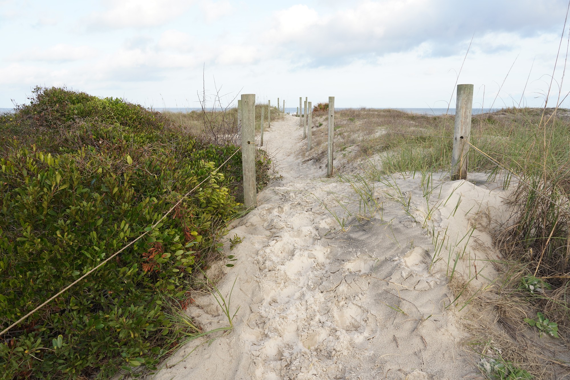 Little Talbot Island State Park (6)