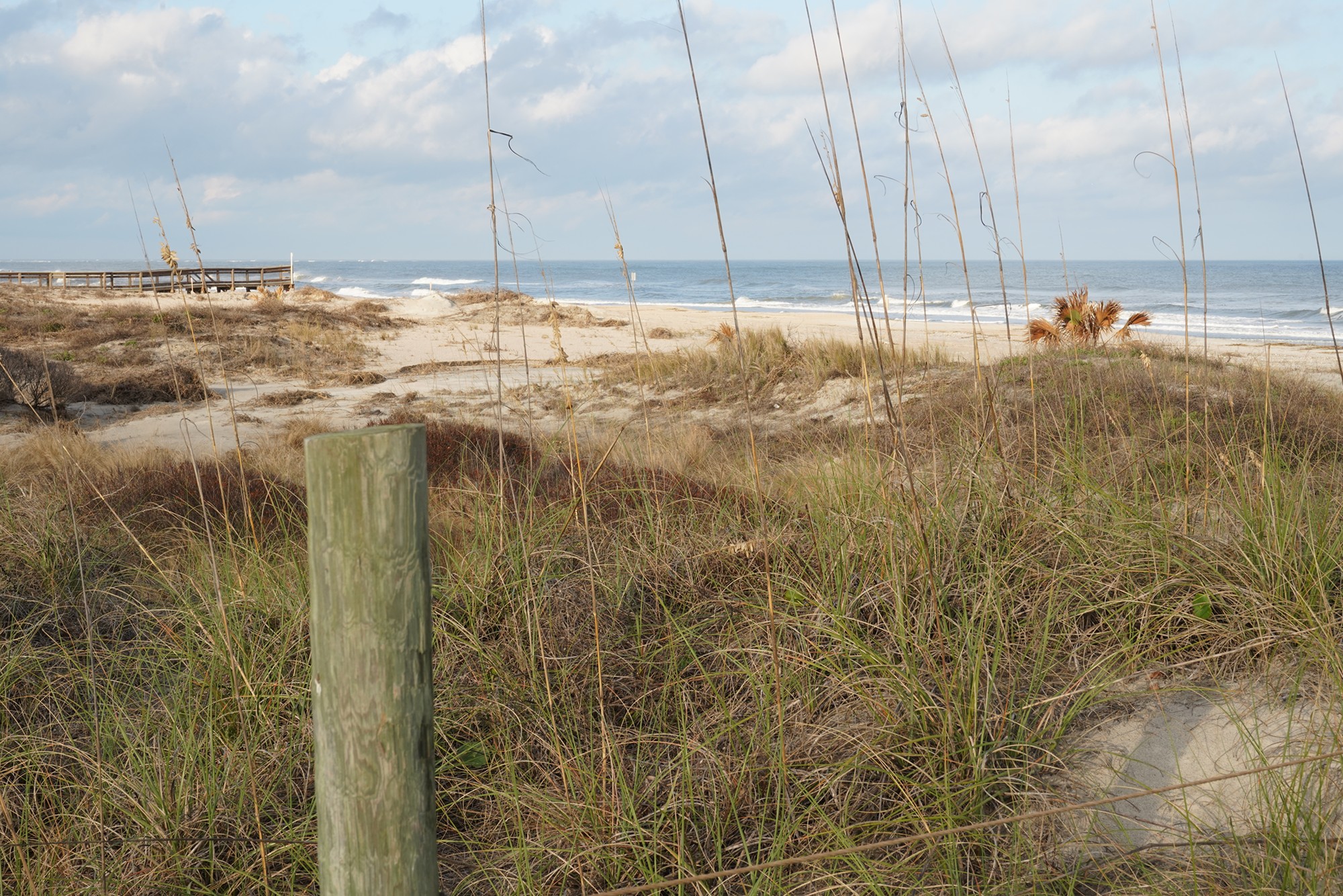 Little Talbot Island State Park (7)