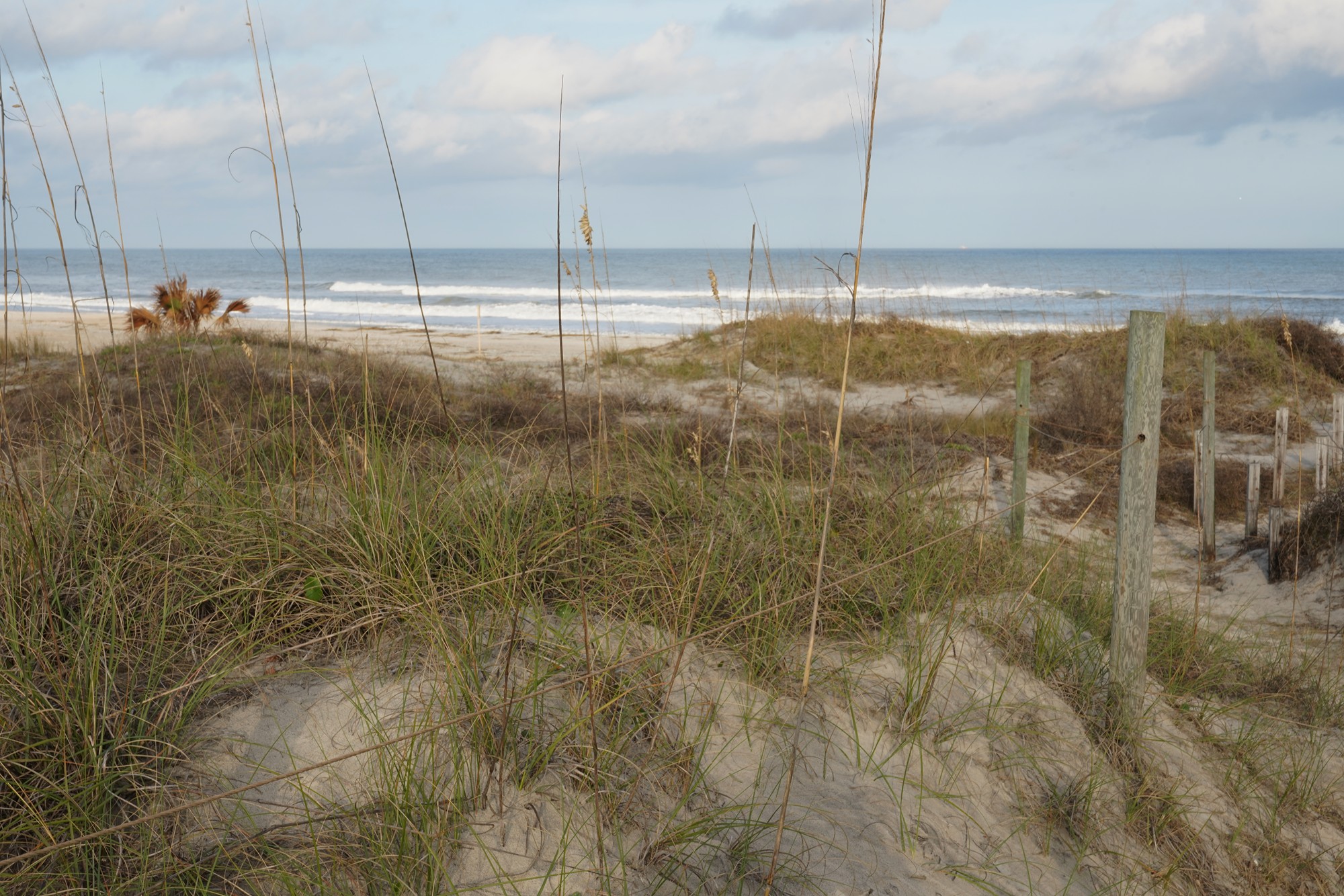 Little Talbot Island State Park (8)