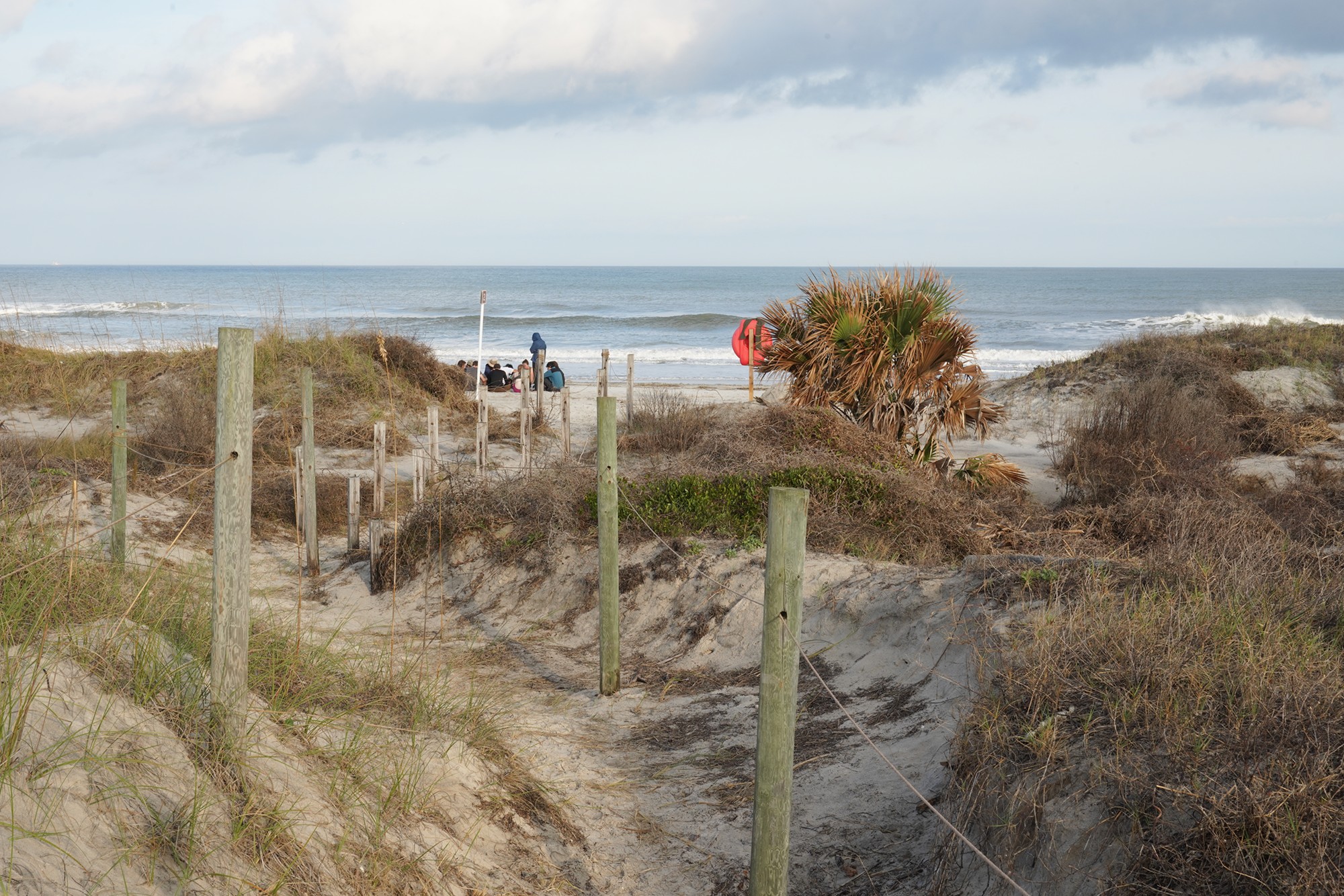Little Talbot Island State Park (9)