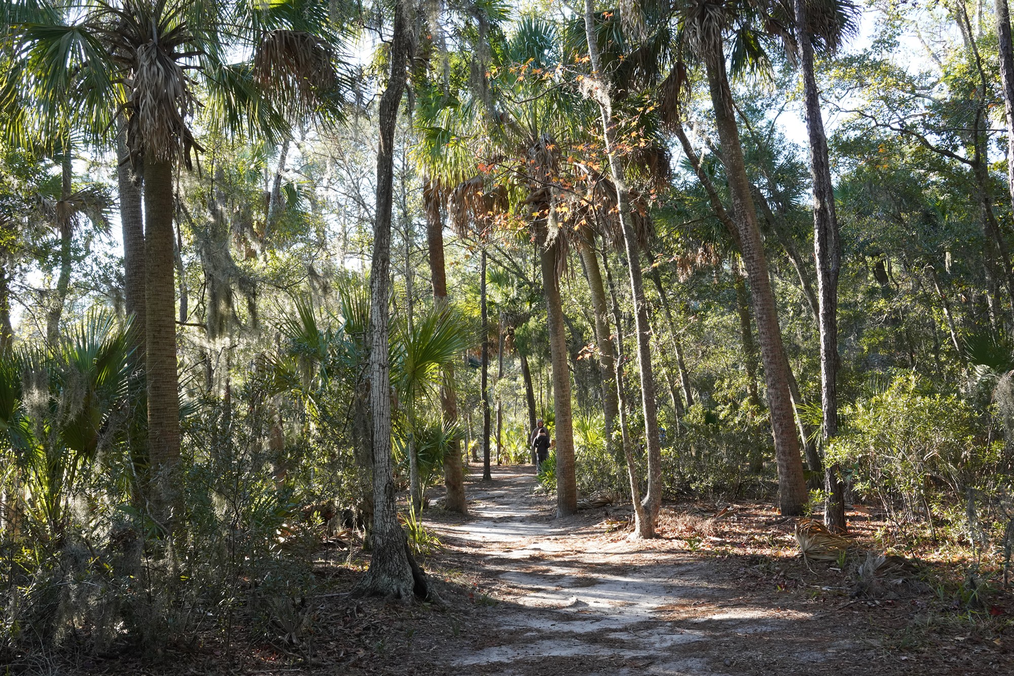 Wormsloe Historic Site (11)