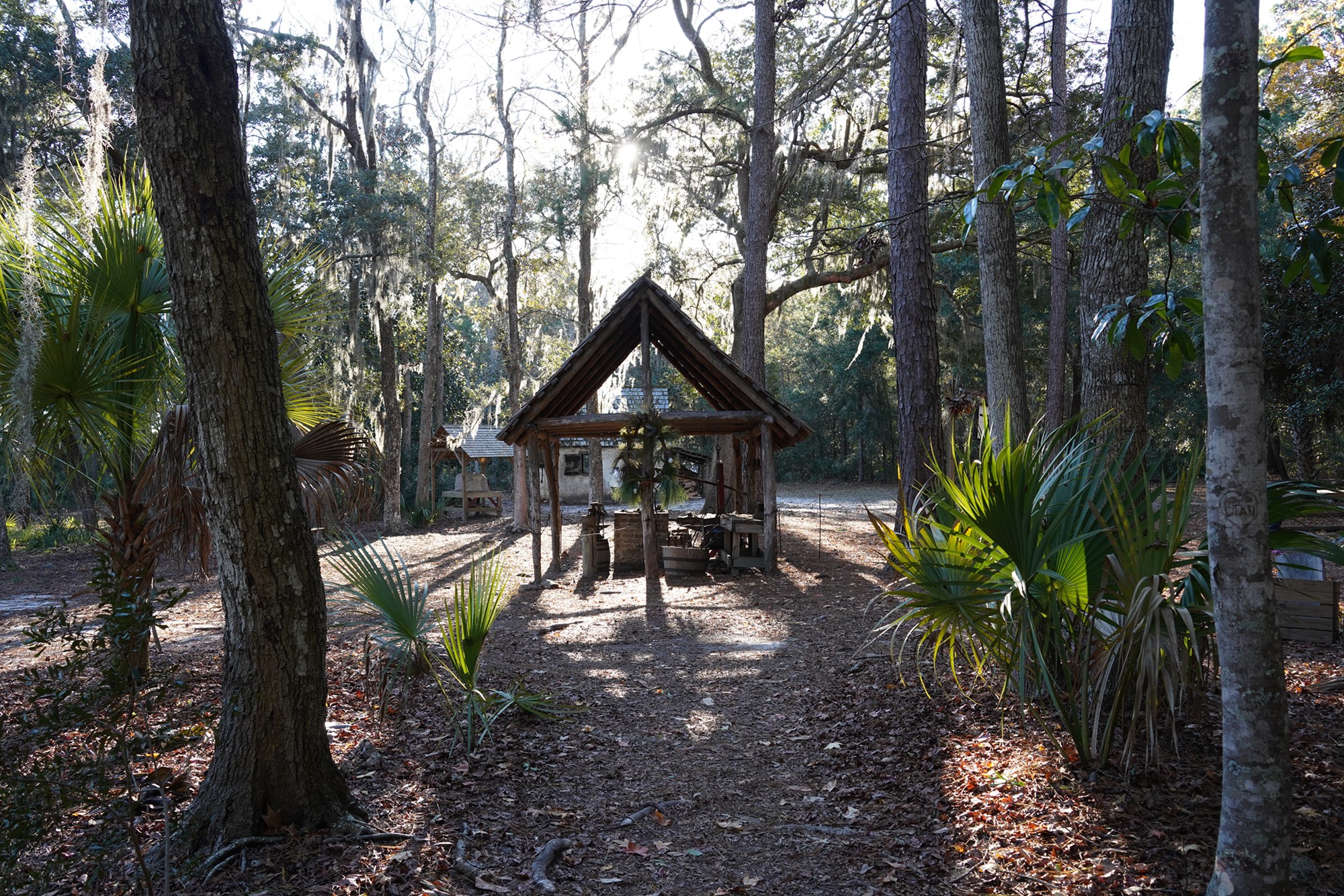 Wormsloe Historic Site (13)