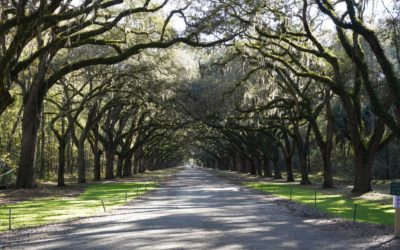 Wormsloe Historic Site, Savannah, Georgia, USA