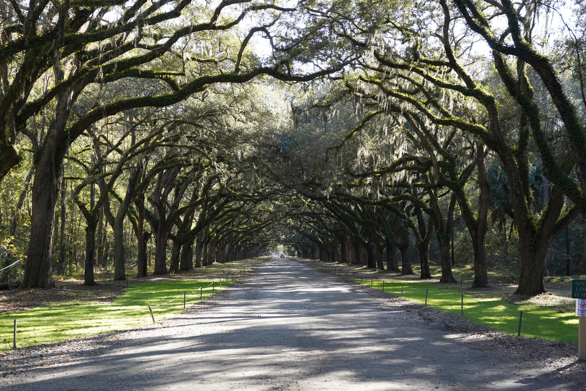 Wormsloe Historic Site (2)