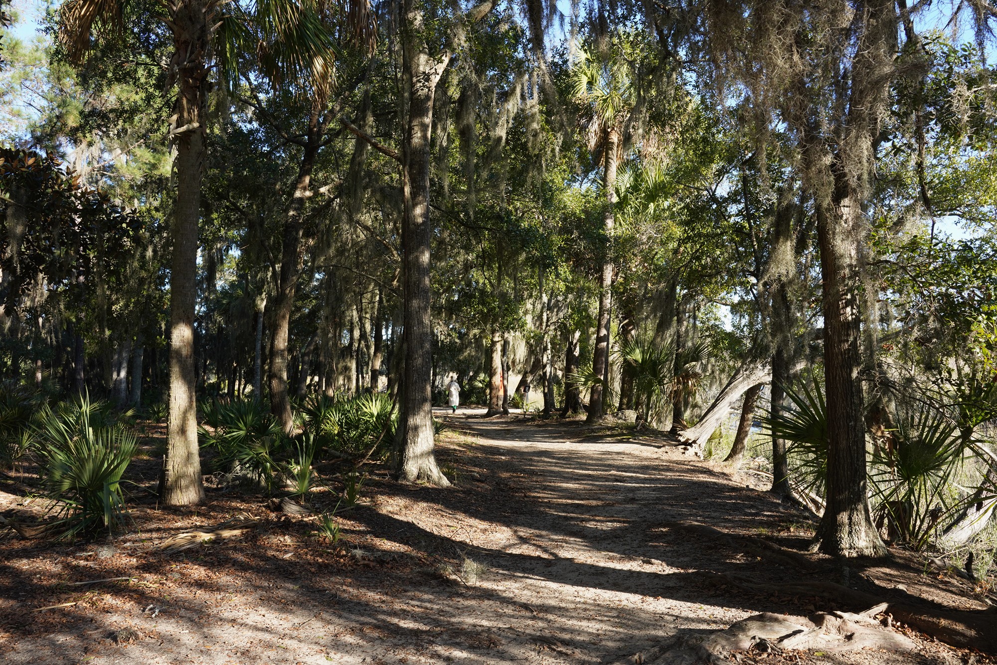 Wormsloe Historic Site (9)