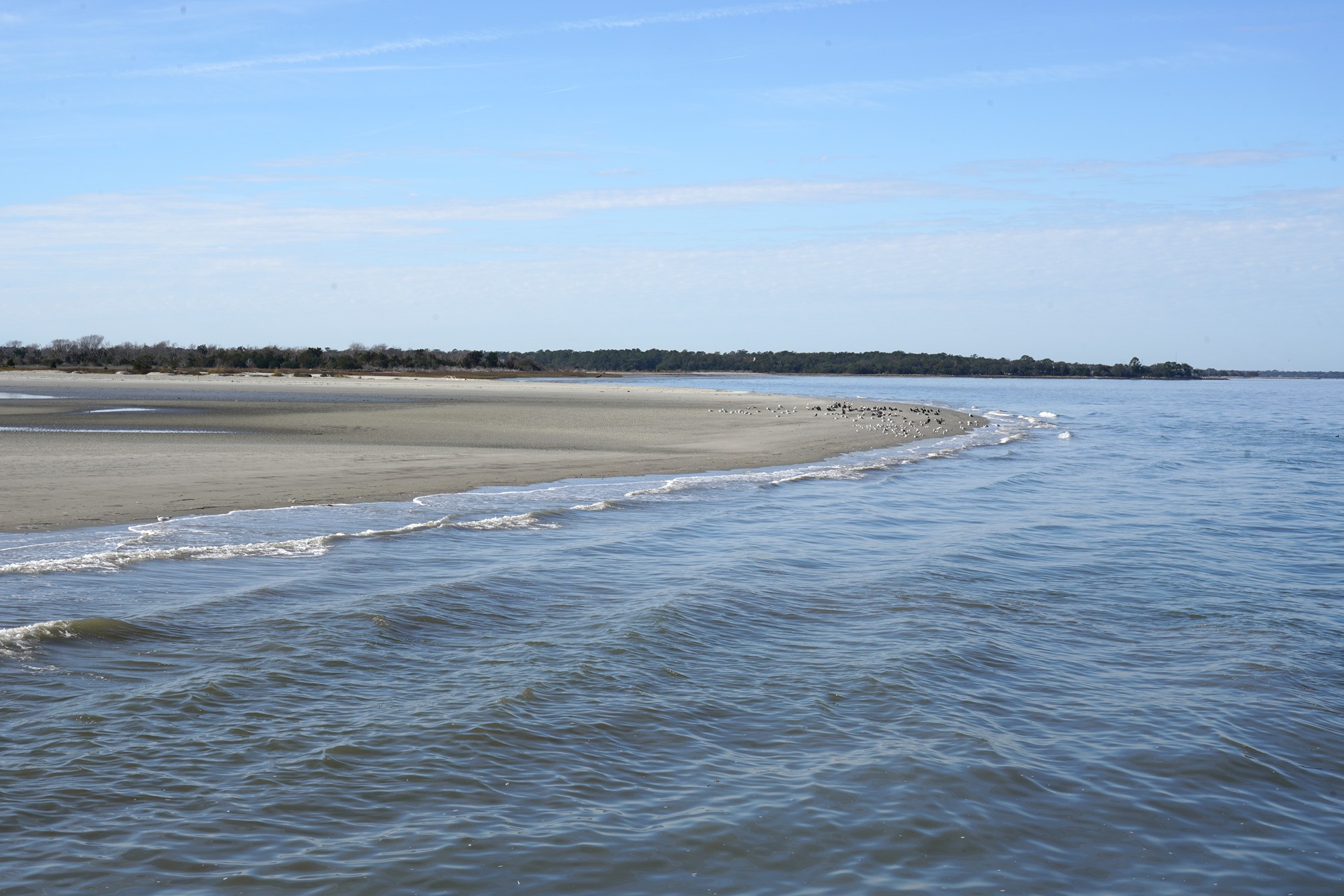 Fort Sumter (31)