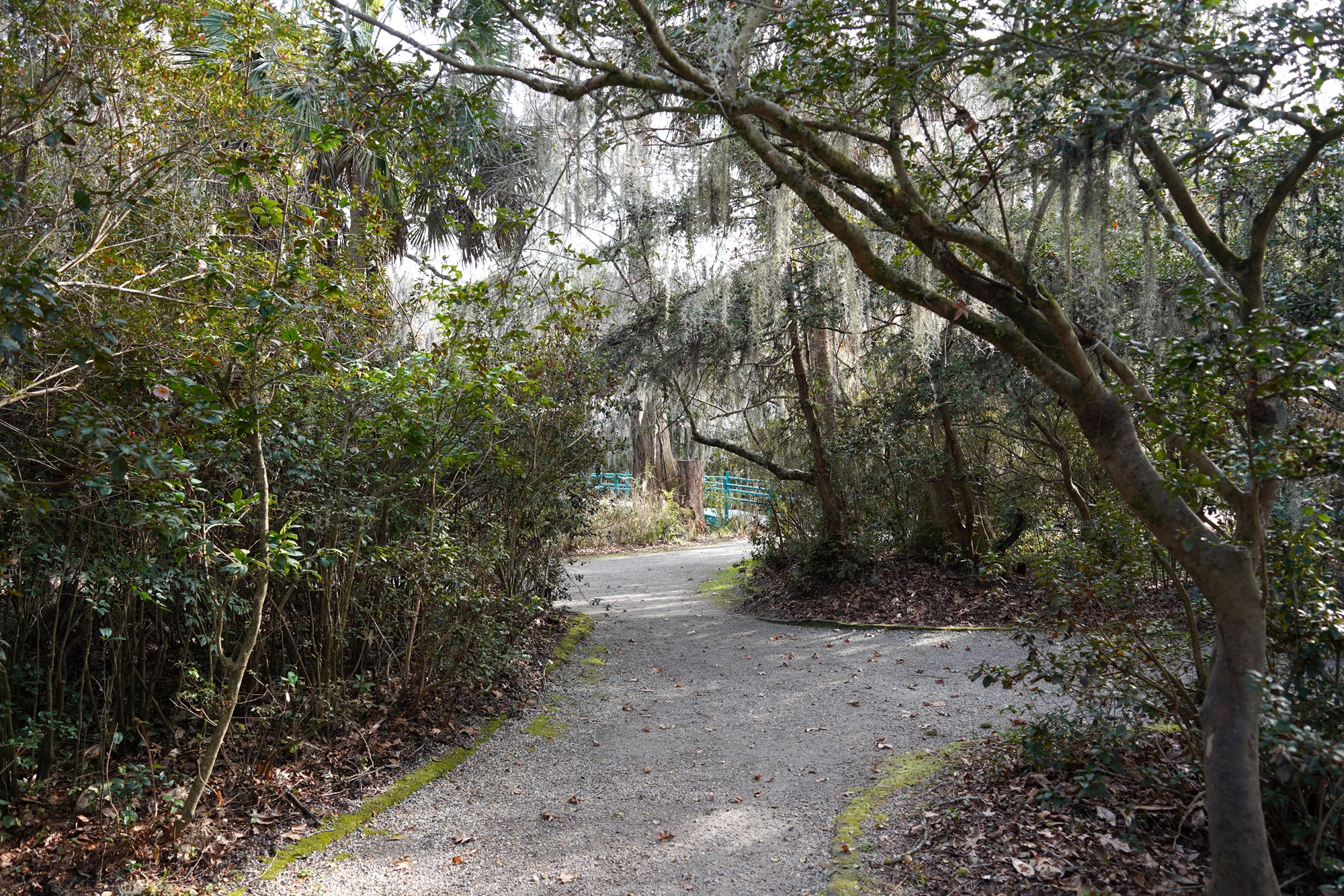 Magnolia Plantation (10)