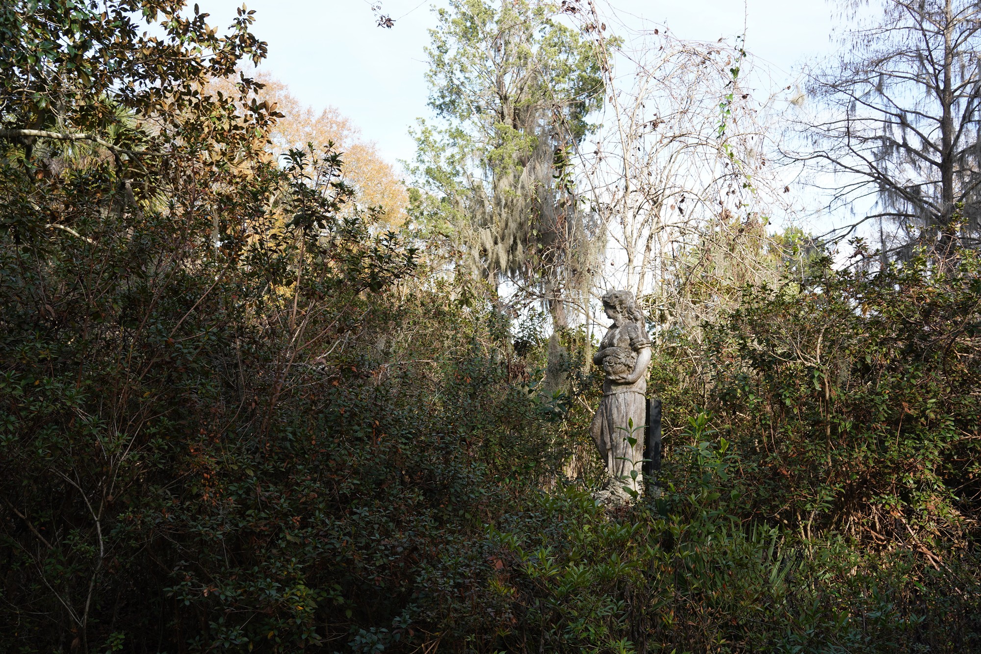 Magnolia Plantation (11)
