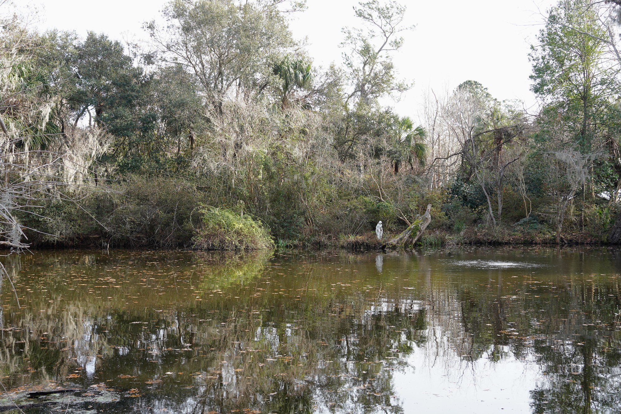 Magnolia Plantation (13)