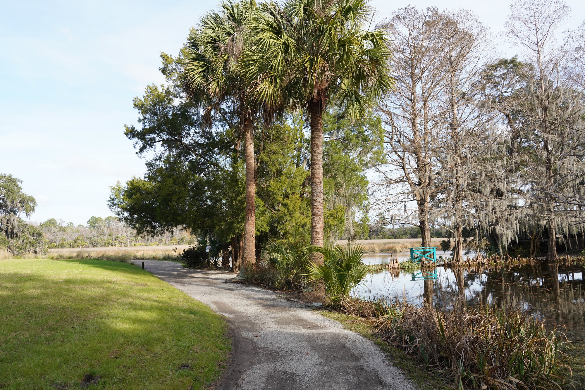 Magnolia Plantation (14)