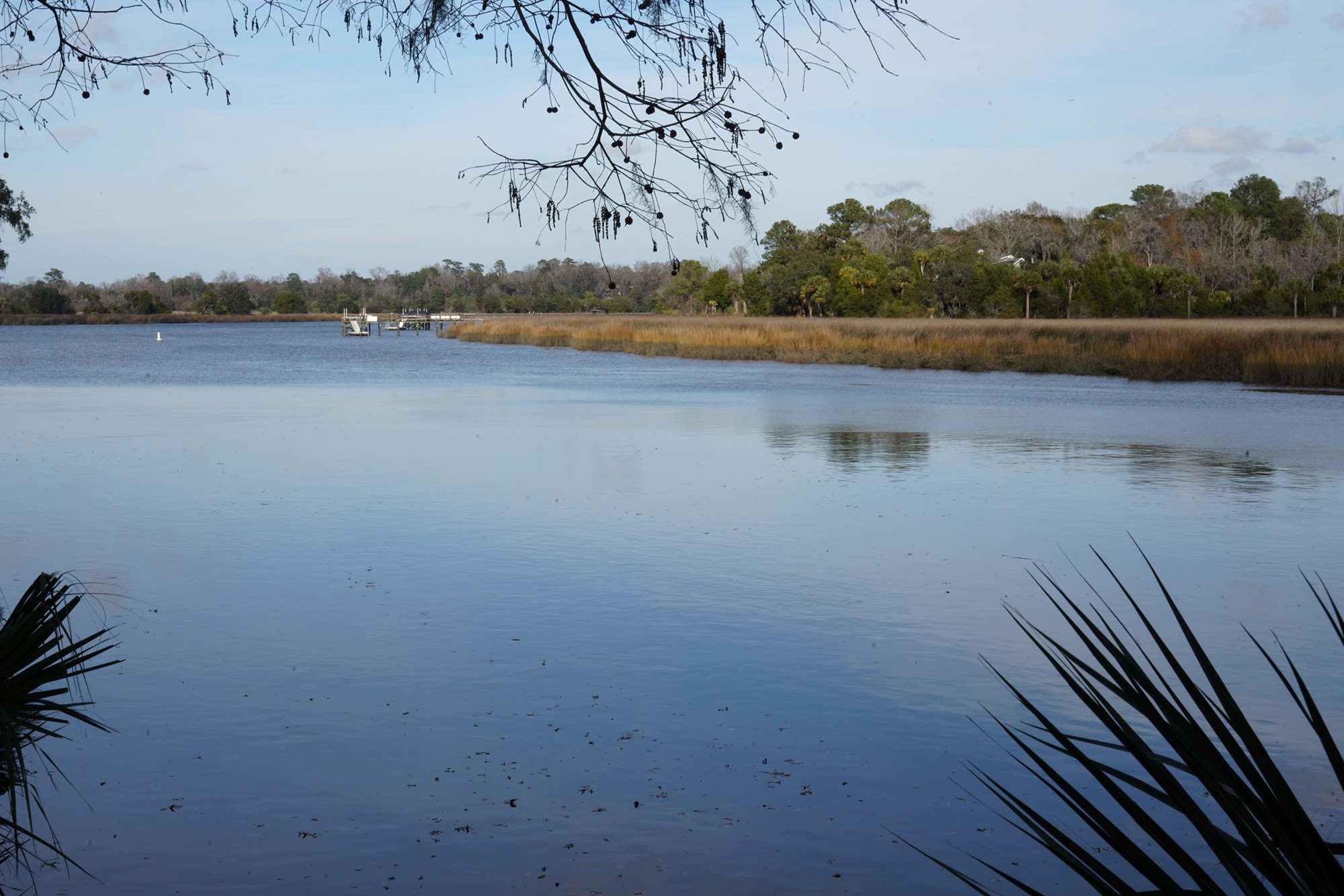 Magnolia Plantation (16)