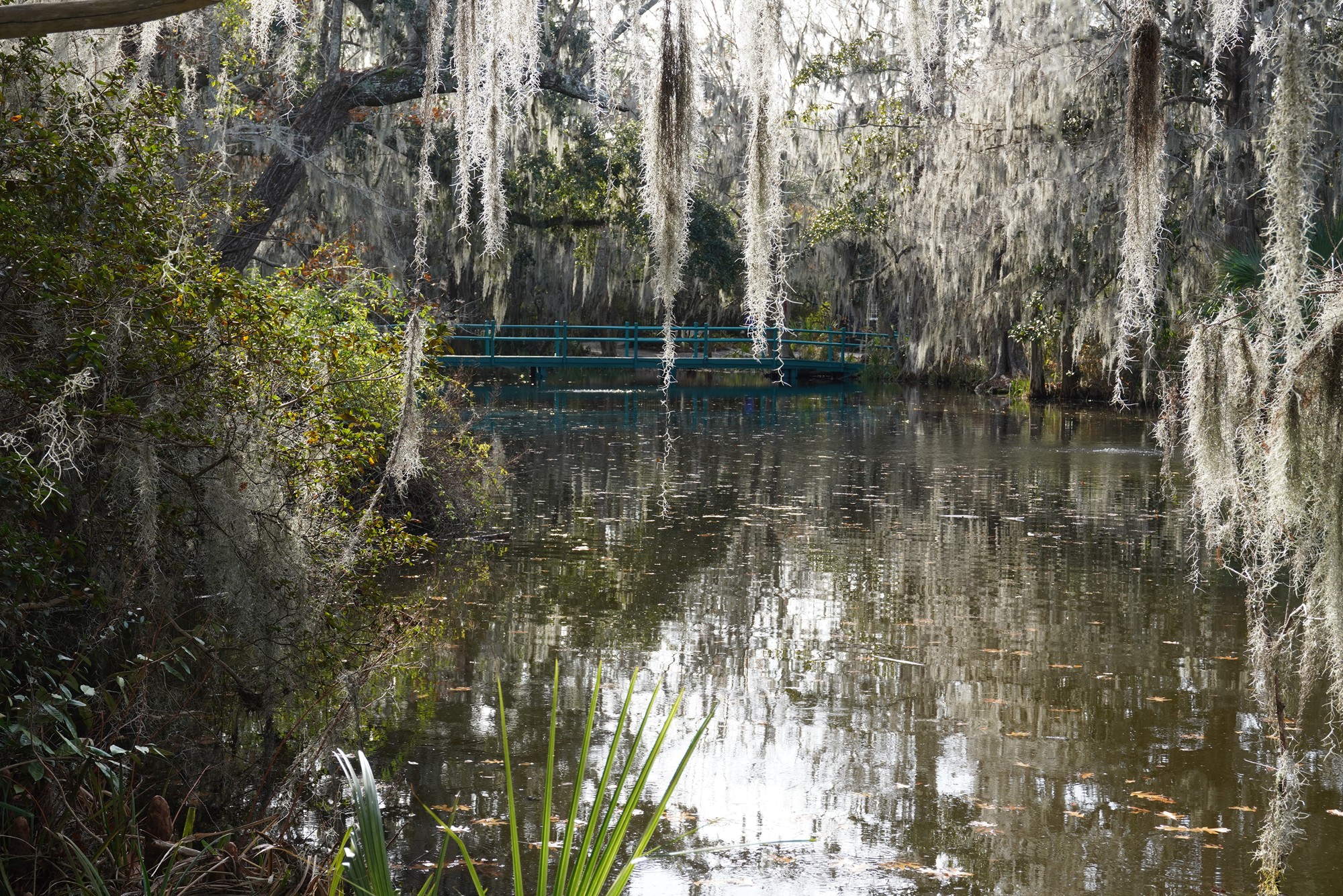 Magnolia Plantation (17)