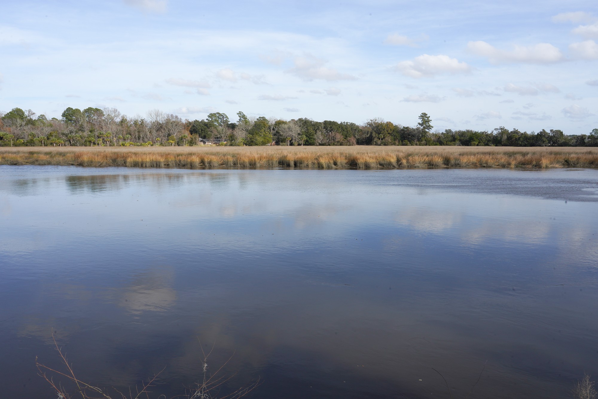 Magnolia Plantation (18)