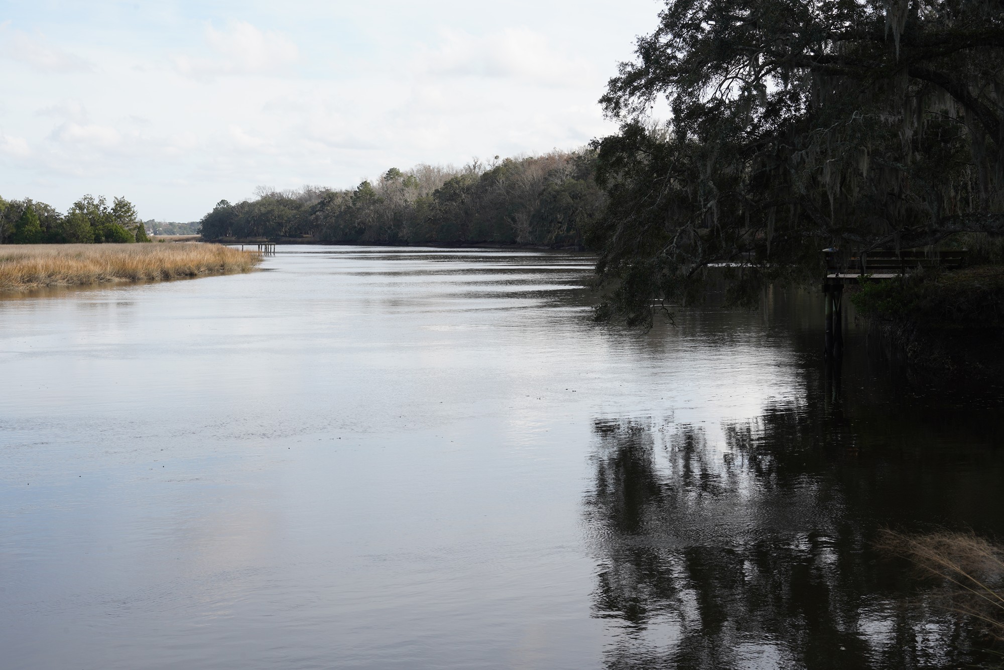 Magnolia Plantation (19)