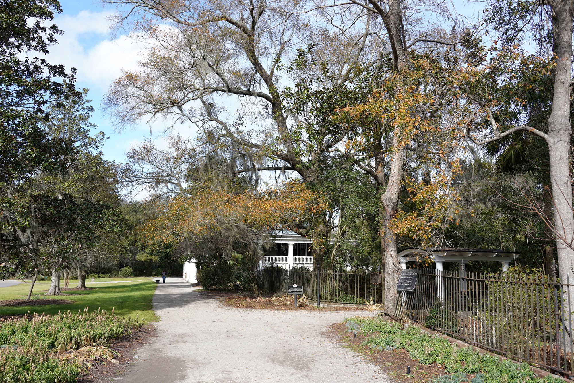 Magnolia Plantation (2)
