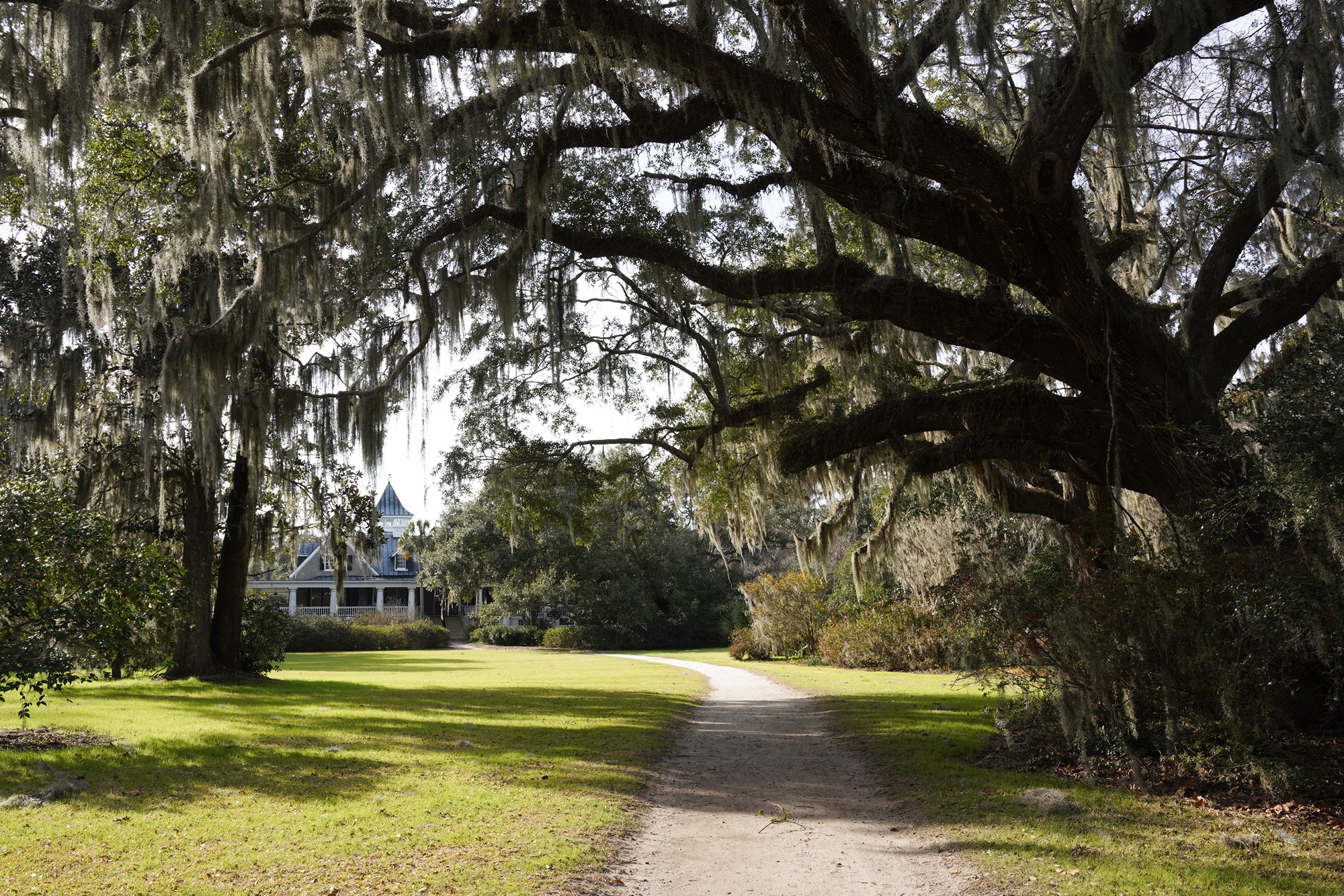 Magnolia Plantation (23)