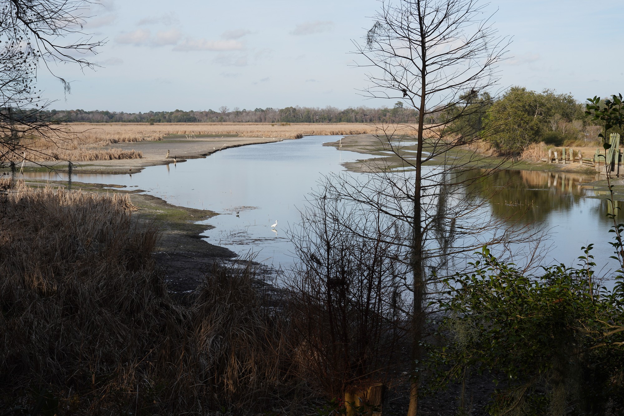 Magnolia Plantation (26)