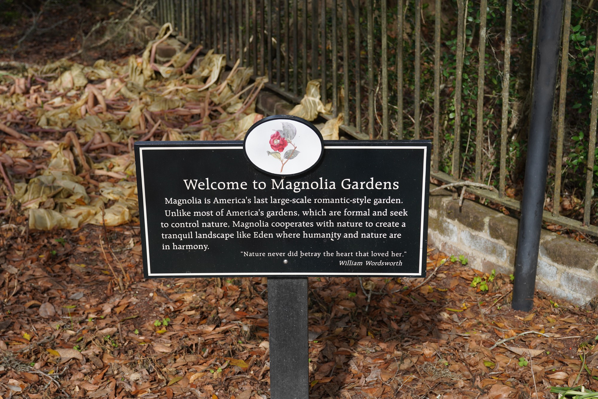 Magnolia Plantation (3)
