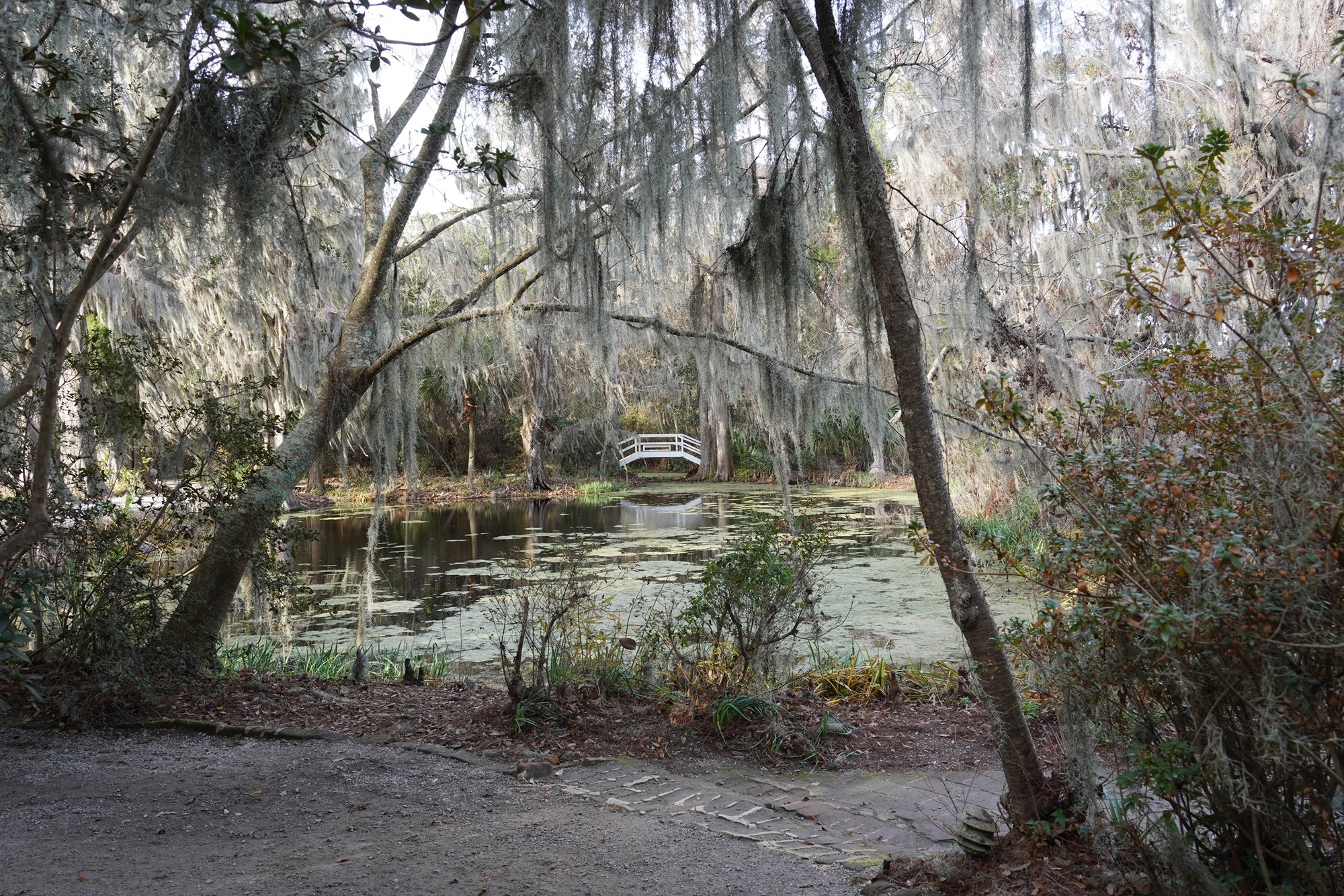 Magnolia Plantation (31)