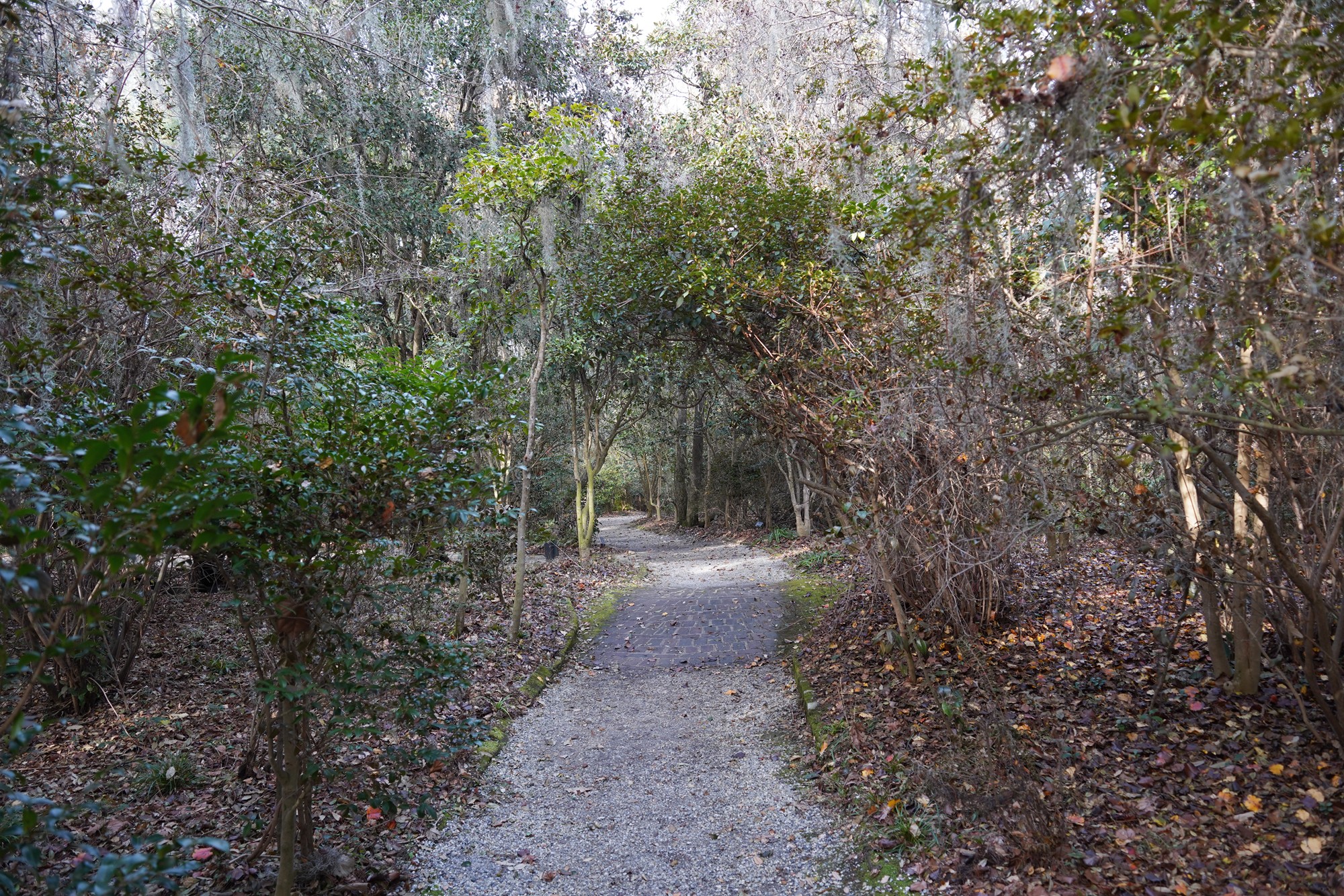 Magnolia Plantation (32)