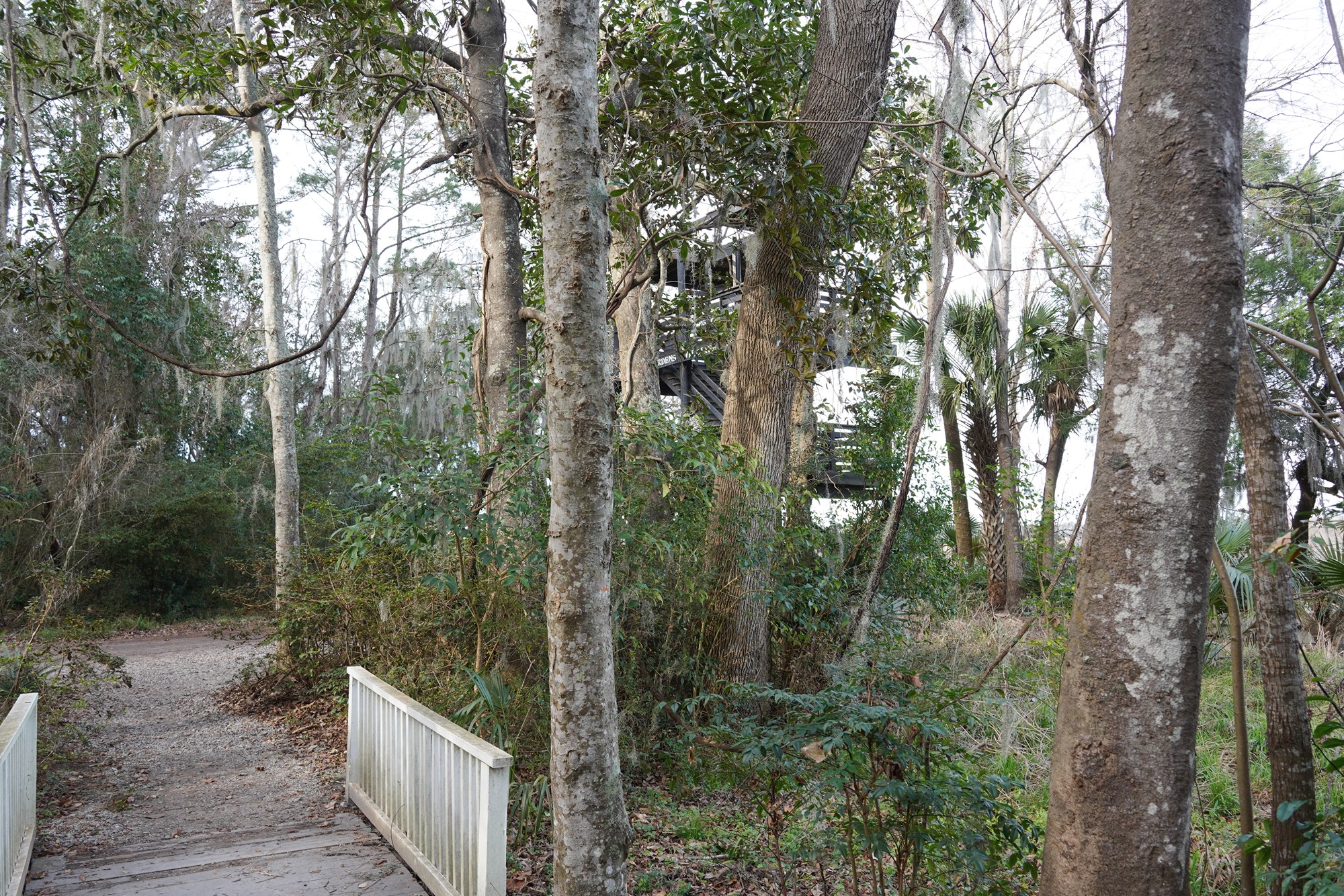 Magnolia Plantation (37)