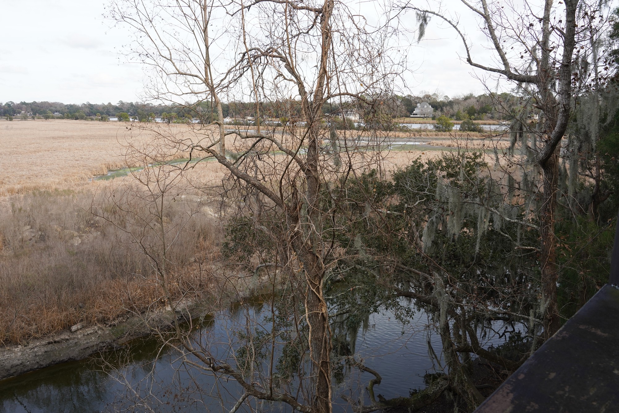 Magnolia Plantation (38)