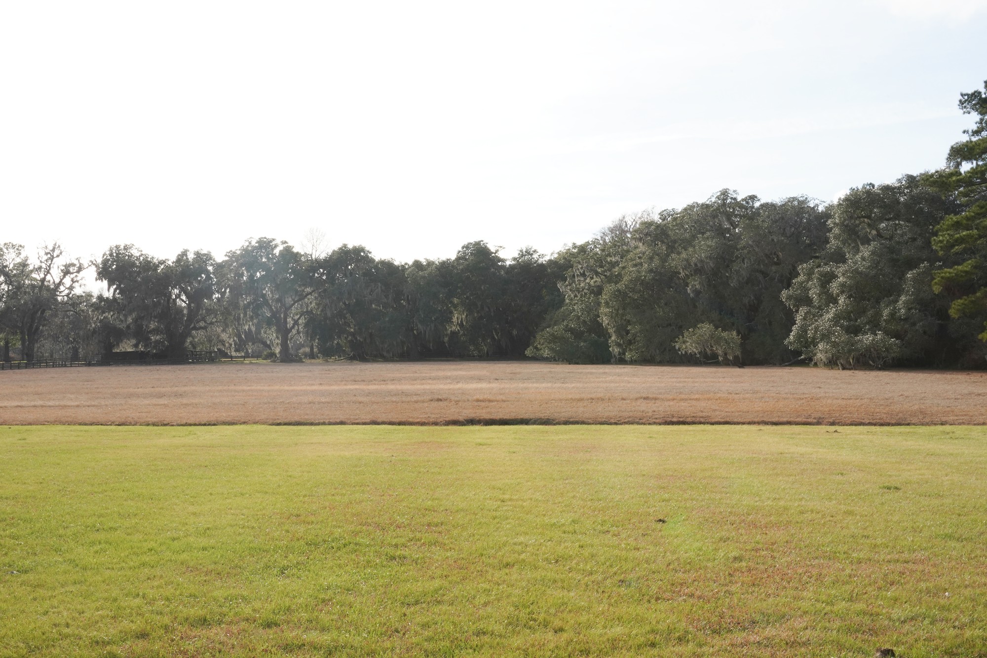 Magnolia Plantation (53)