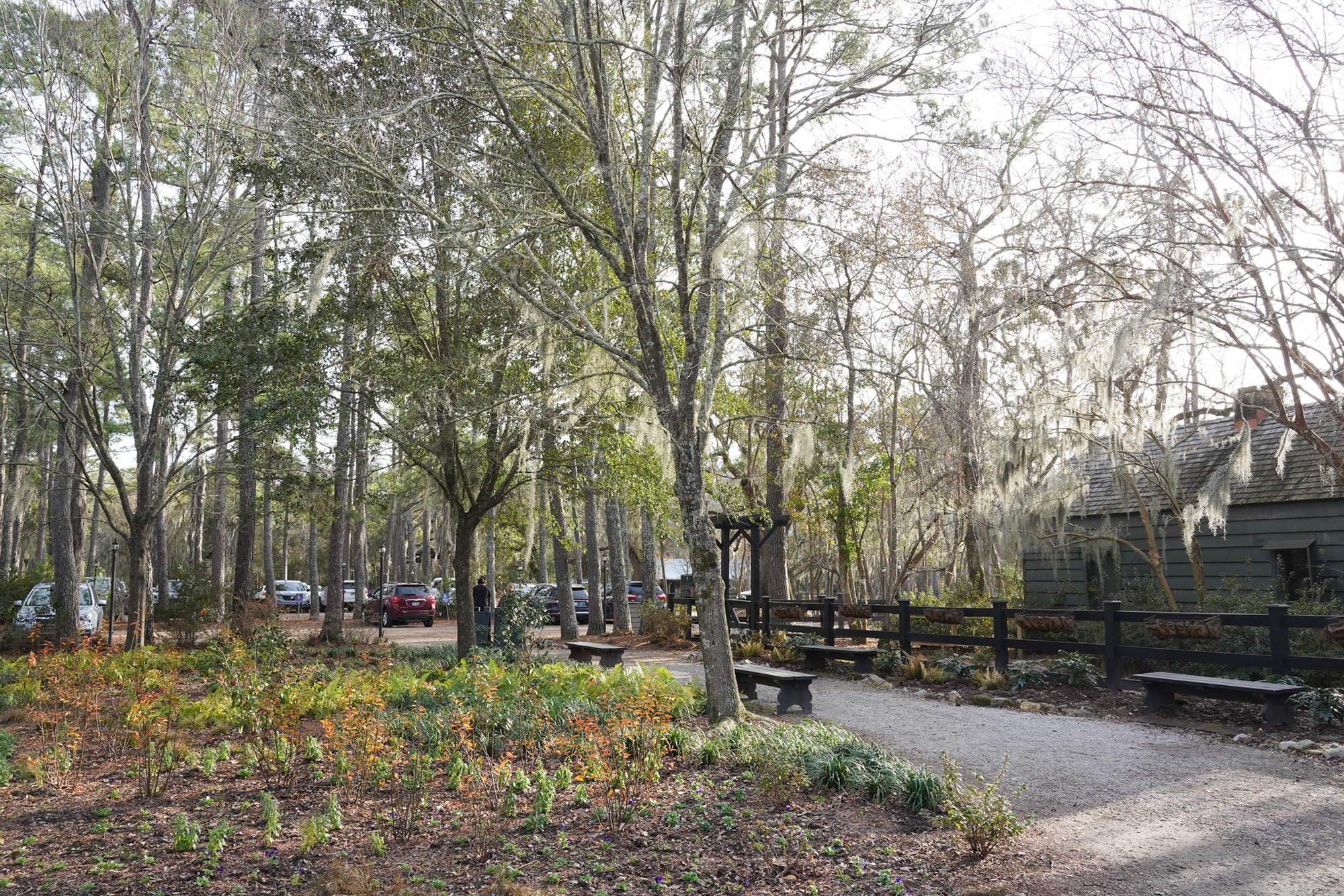 Magnolia Plantation (54)